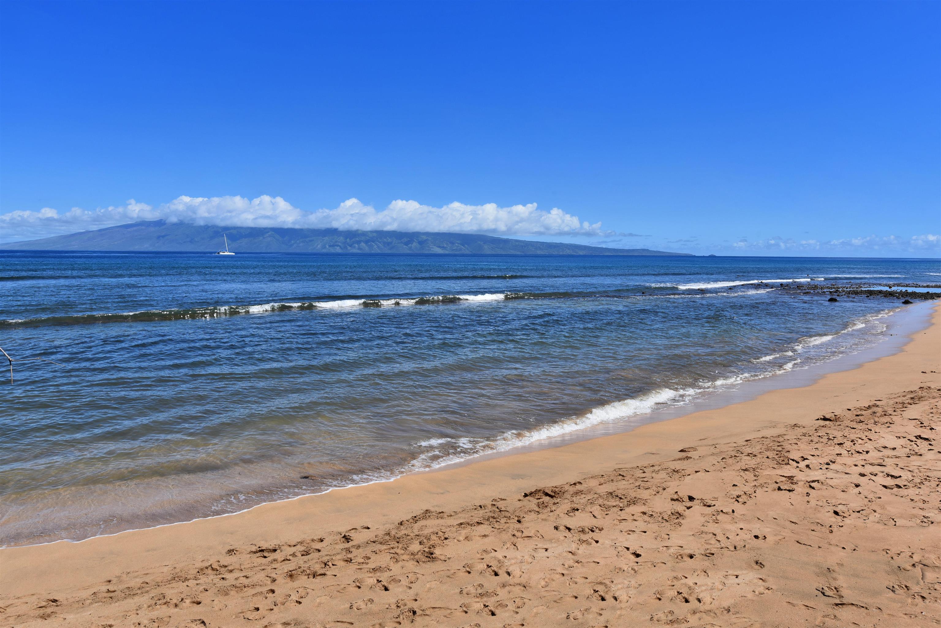 Kaanapali Shores condo # 450, Lahaina, Hawaii - photo 41 of 50