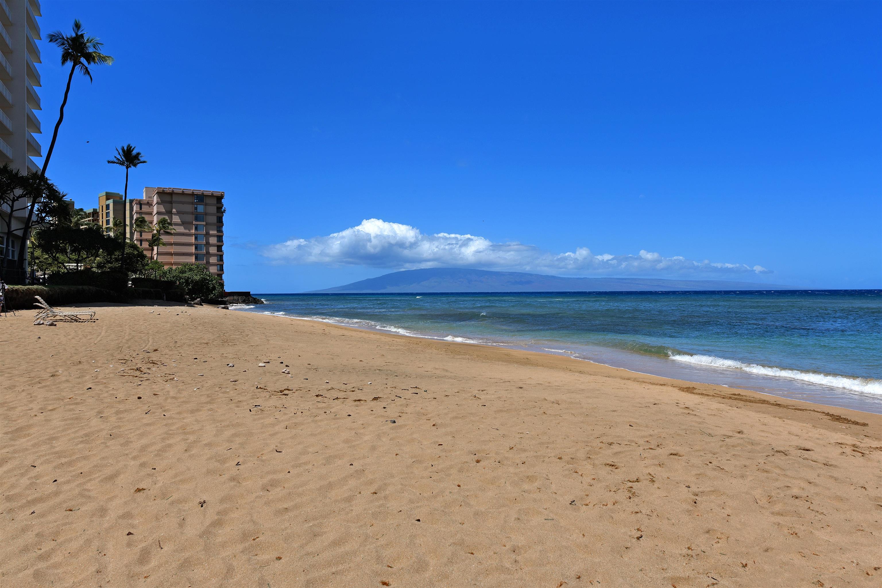 Kaanapali Shores condo # 450, Lahaina, Hawaii - photo 42 of 50