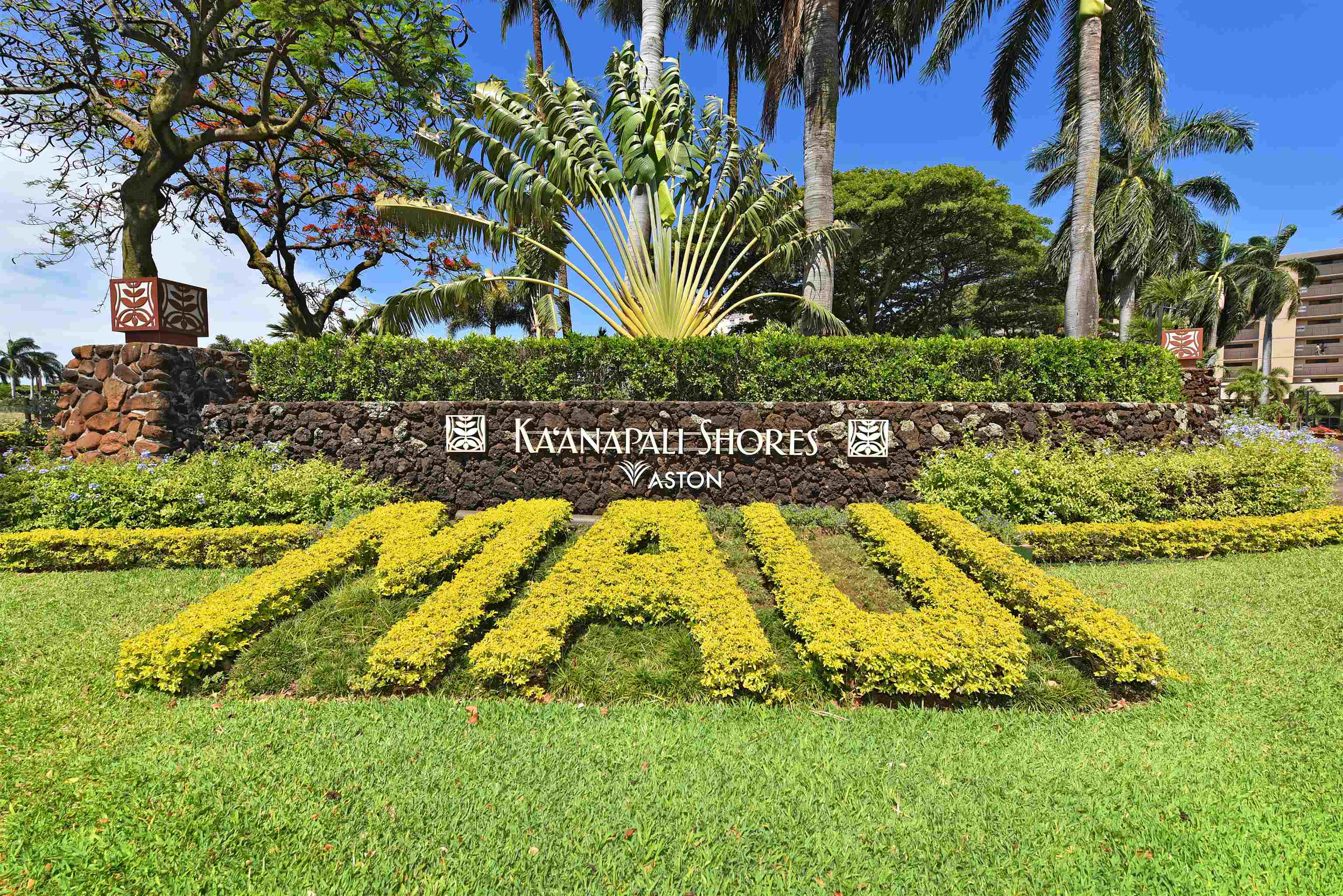 Kaanapali Shores condo # 450, Lahaina, Hawaii - photo 43 of 50