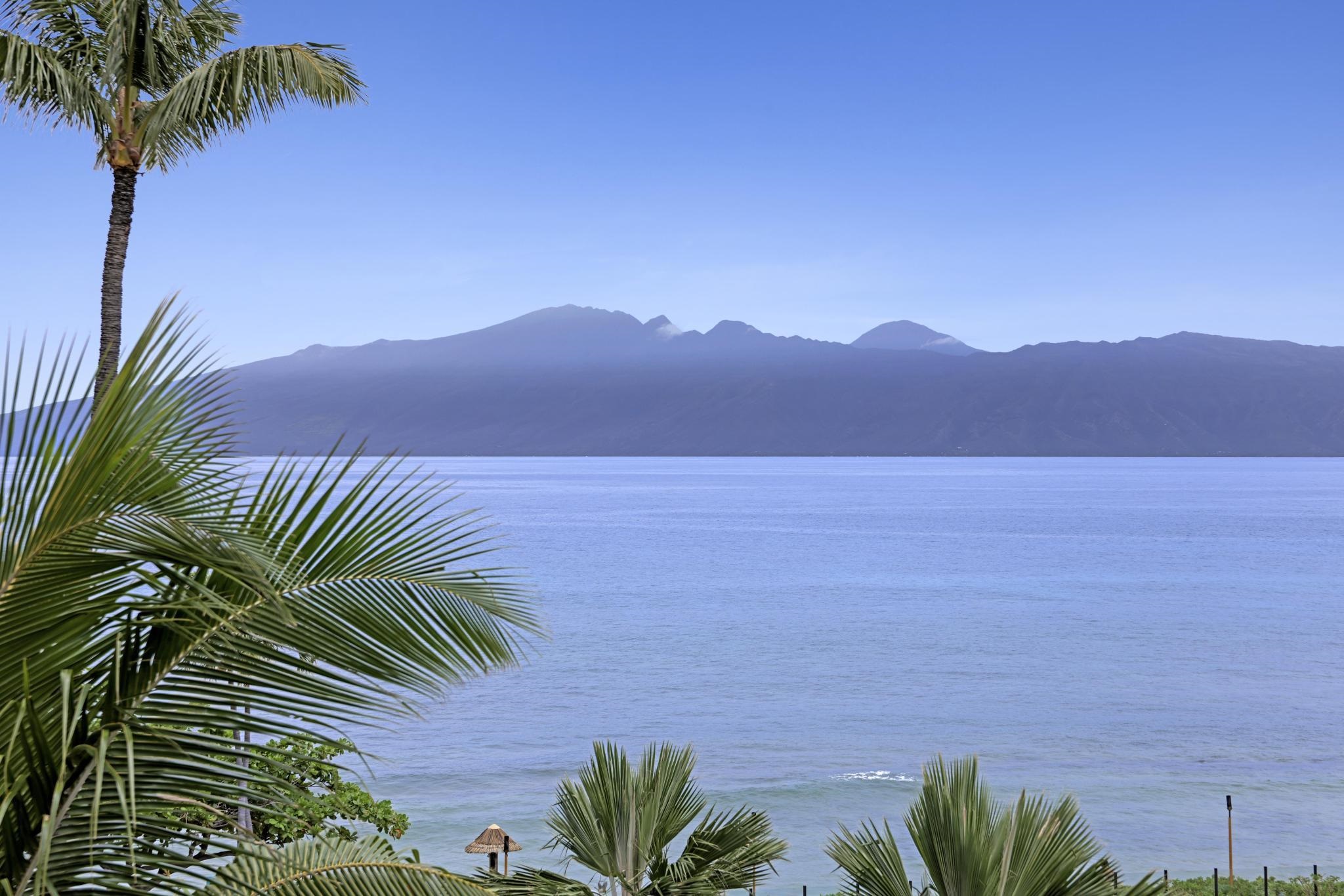 Kaanapali Shores condo # 455, Lahaina, Hawaii - photo 17 of 36