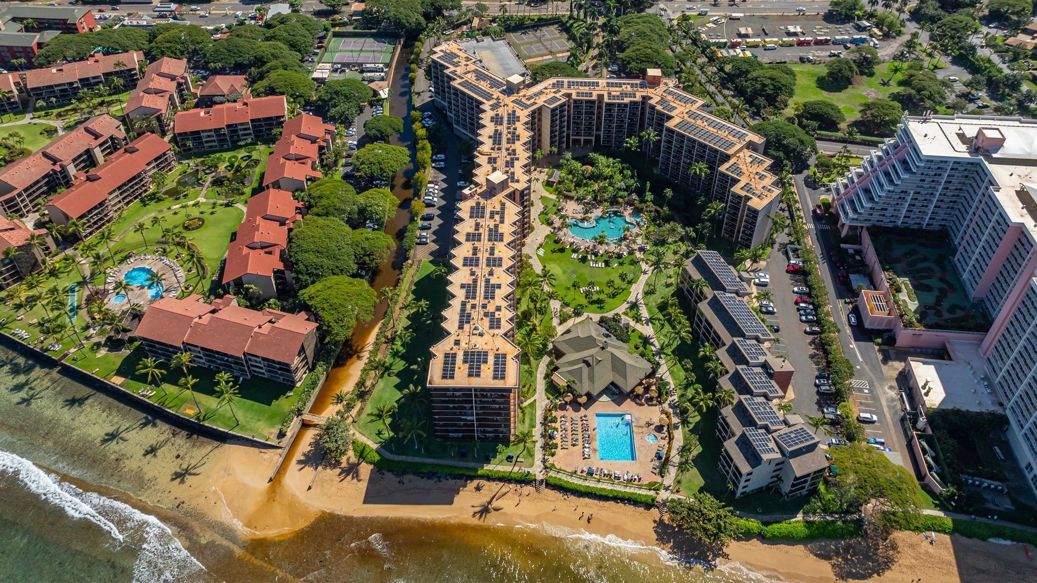 Kaanapali Shores condo # 516, Lahaina, Hawaii - photo 38 of 49