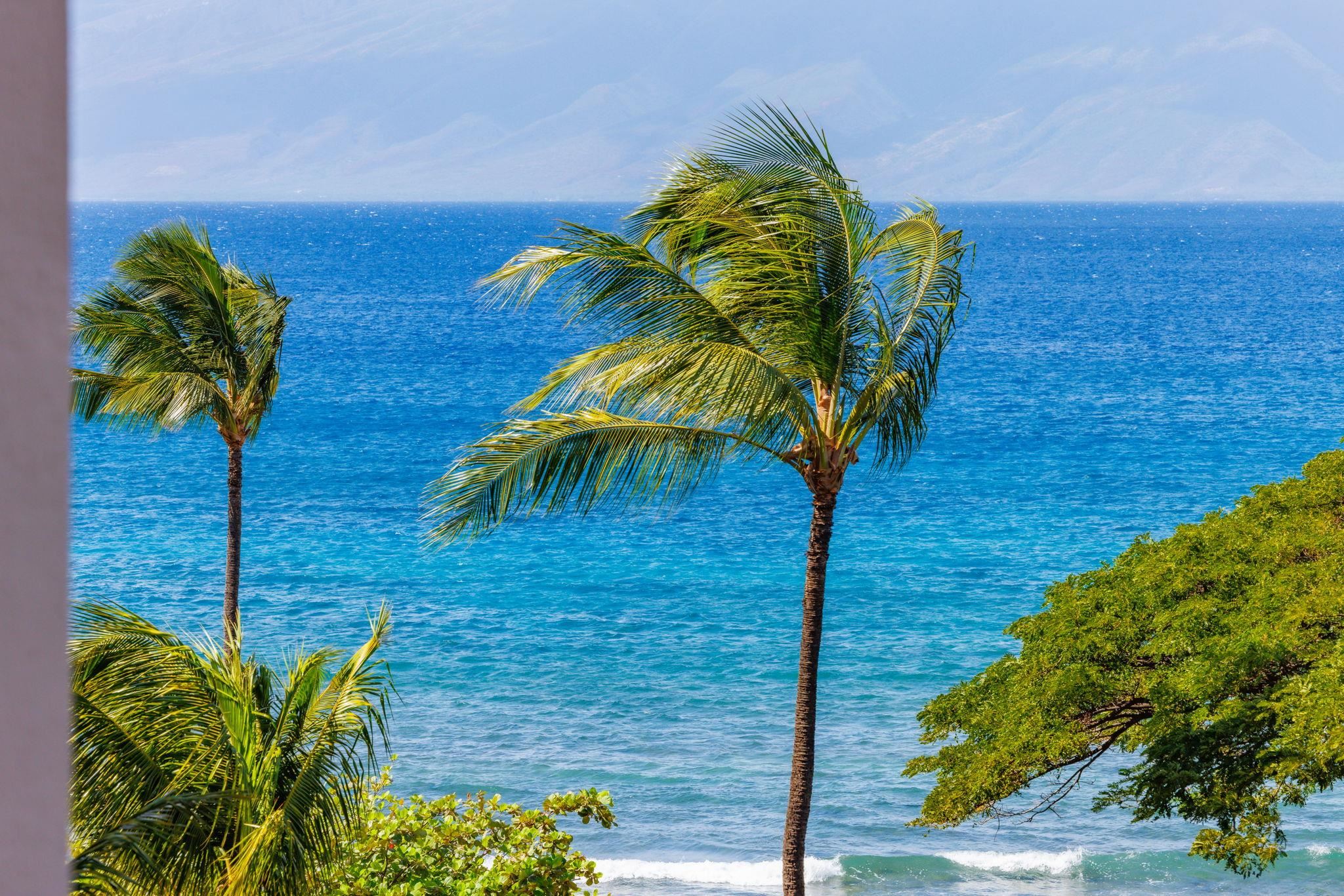 Kaanapali Shores condo # 516, Lahaina, Hawaii - photo 45 of 49