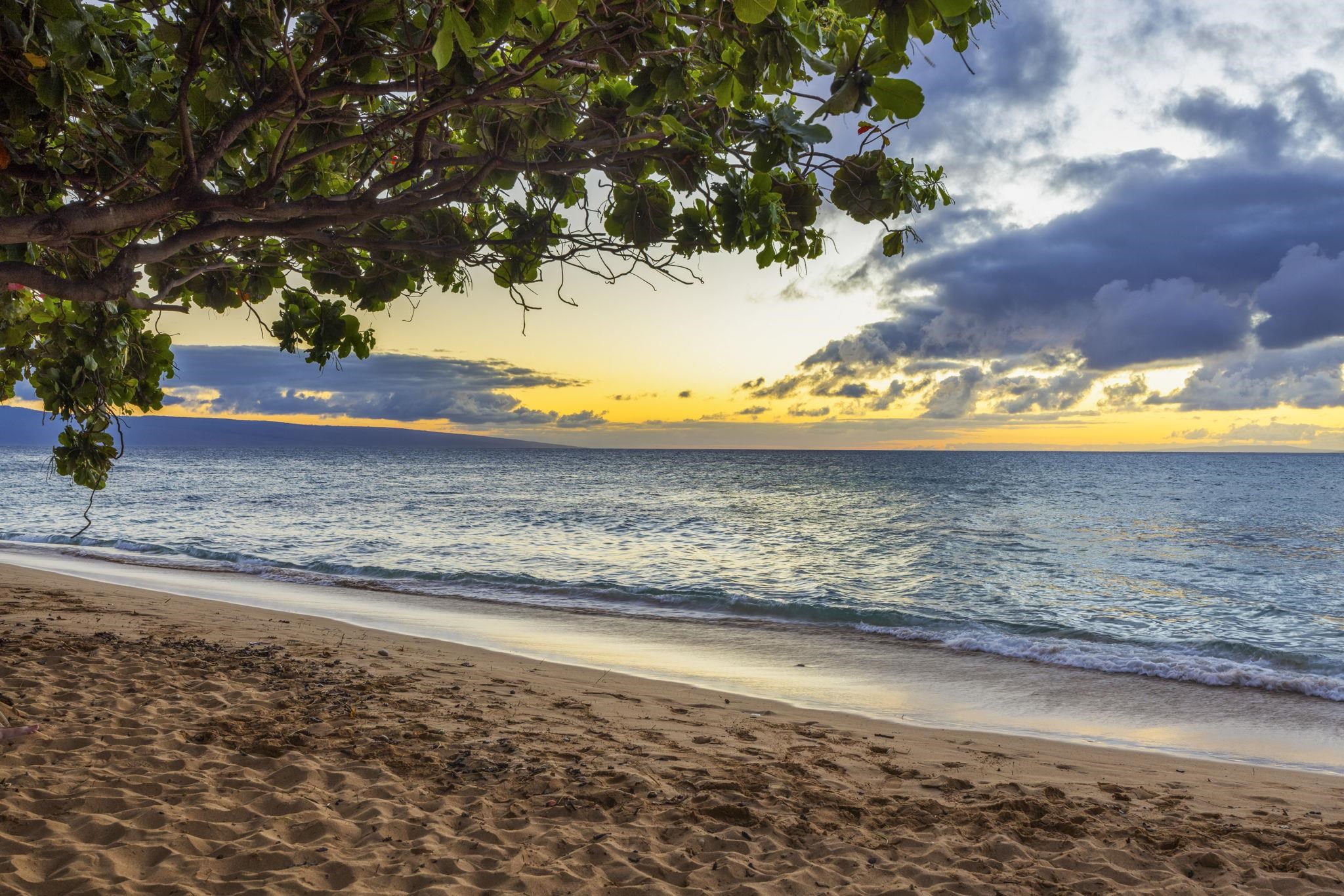 Kaanapali Shores condo # 516, Lahaina, Hawaii - photo 46 of 49
