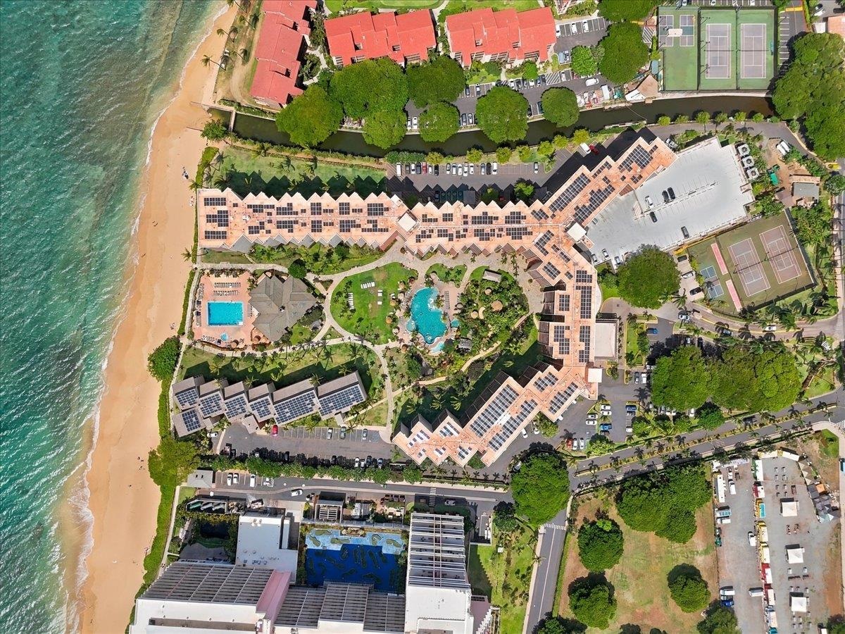 Kaanapali Shores condo # 522, Lahaina, Hawaii - photo 2 of 33