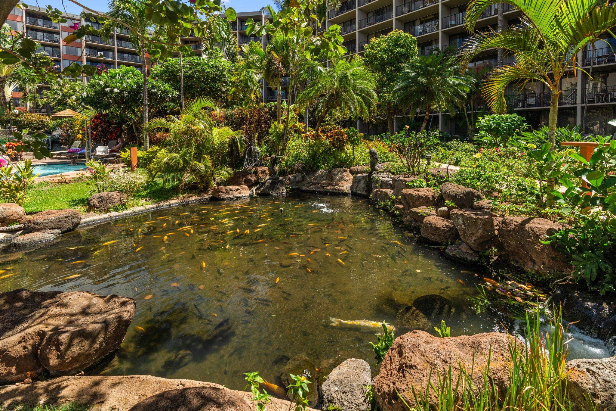 Kaanapali Shores condo # 538, Lahaina, Hawaii - photo 23 of 34