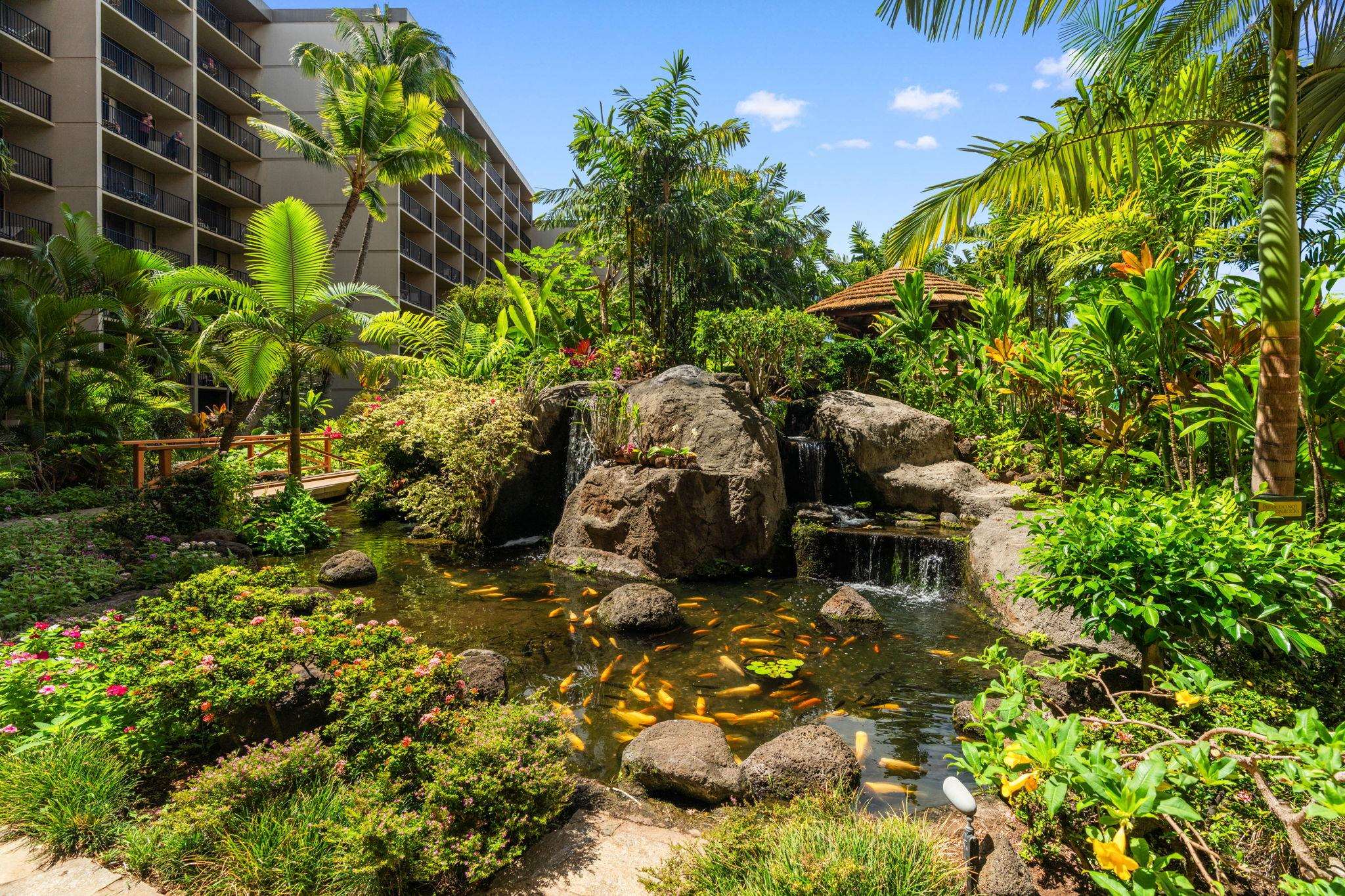 Kaanapali Shores condo # 538, Lahaina, Hawaii - photo 24 of 34