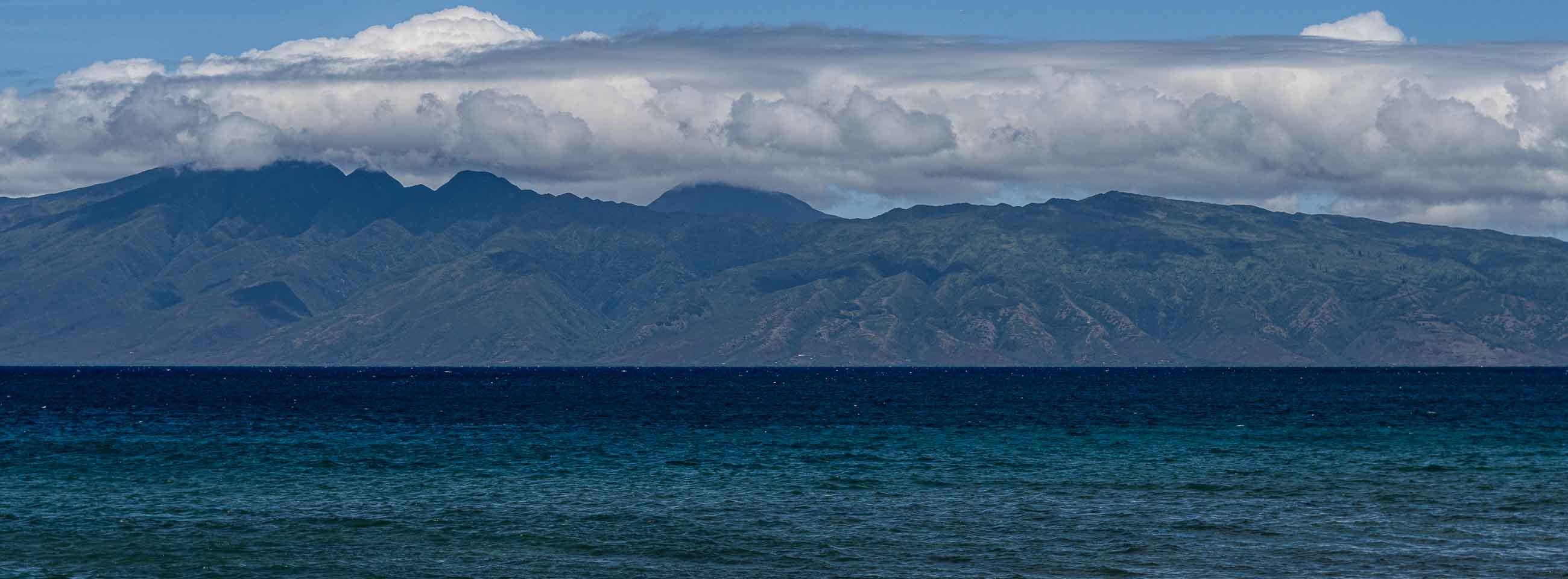 Kaanapali Shores condo # 541, Lahaina, Hawaii - photo 46 of 50