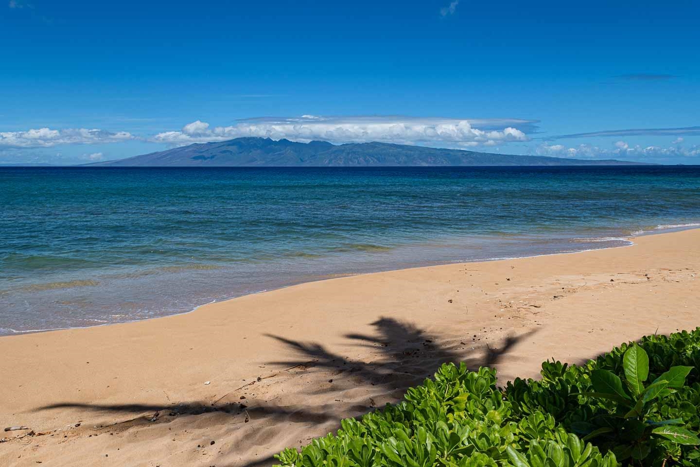 Kaanapali Shores condo # 541, Lahaina, Hawaii - photo 8 of 50