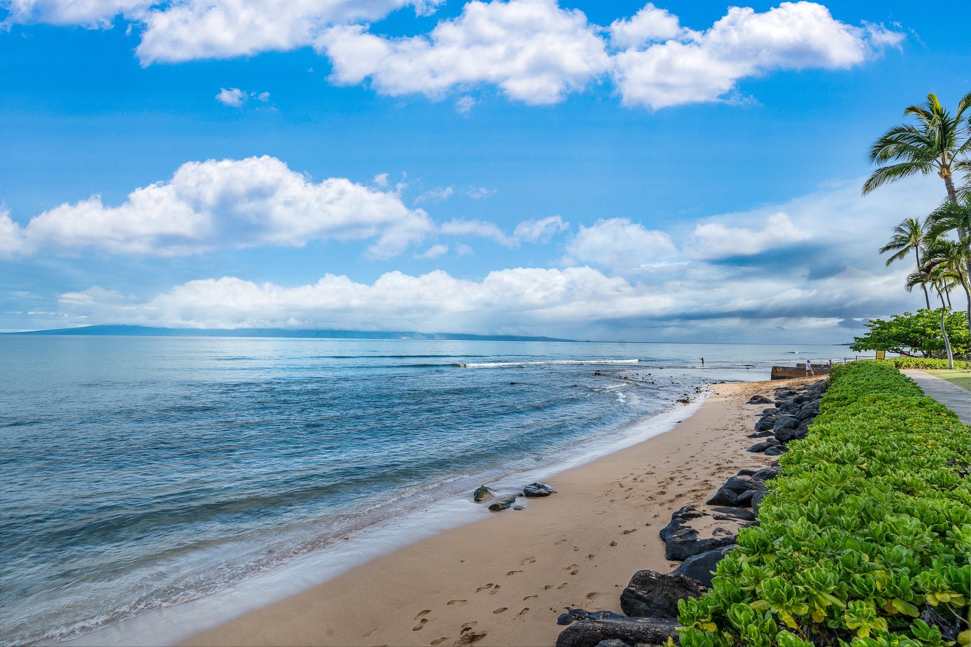 Kaanapali Shores condo # 551, Lahaina, Hawaii - photo 38 of 50