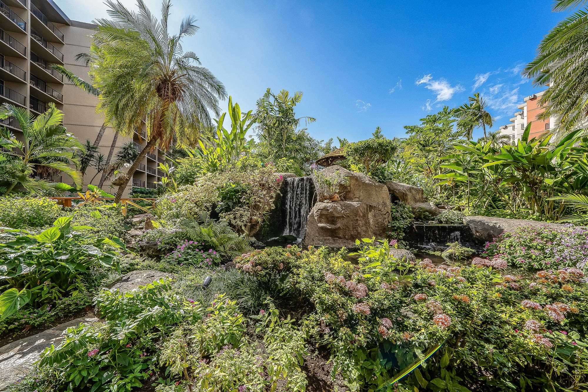 Kaanapali Shores condo # 551, Lahaina, Hawaii - photo 40 of 50