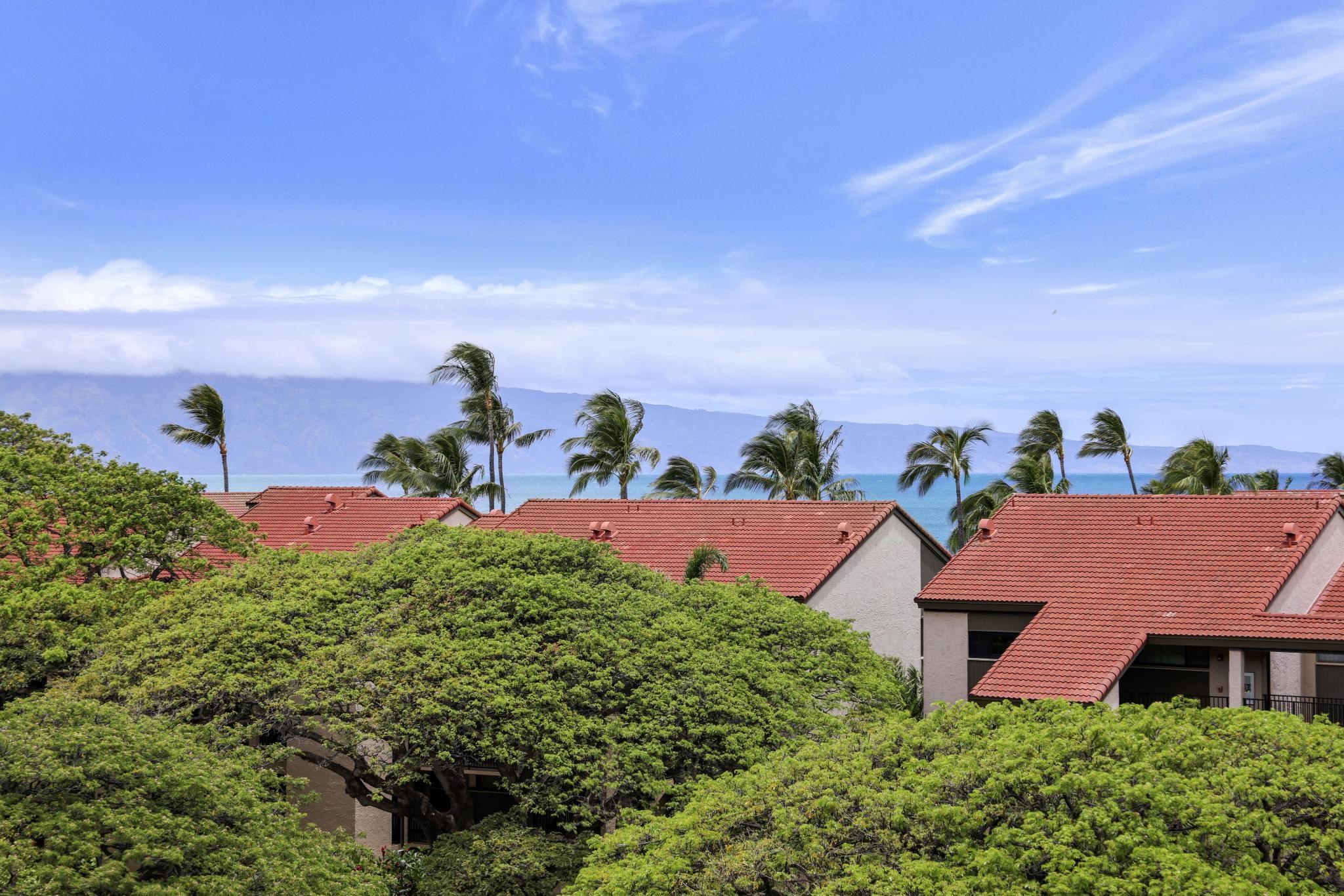 Kaanapali Shores condo # 626, Lahaina, Hawaii - photo 6 of 41
