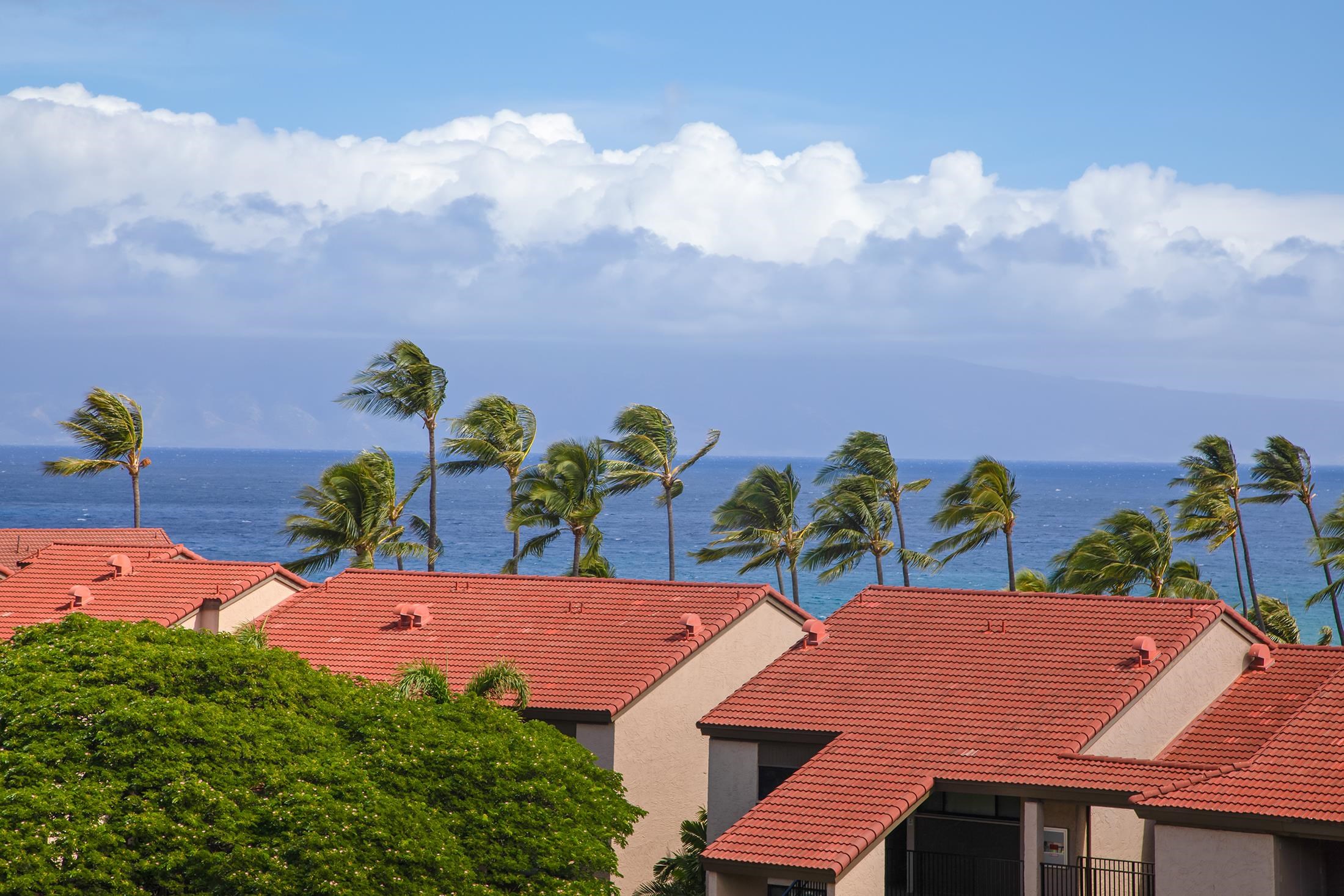 Kaanapali Shores condo # 732, Lahaina, Hawaii - photo 17 of 30