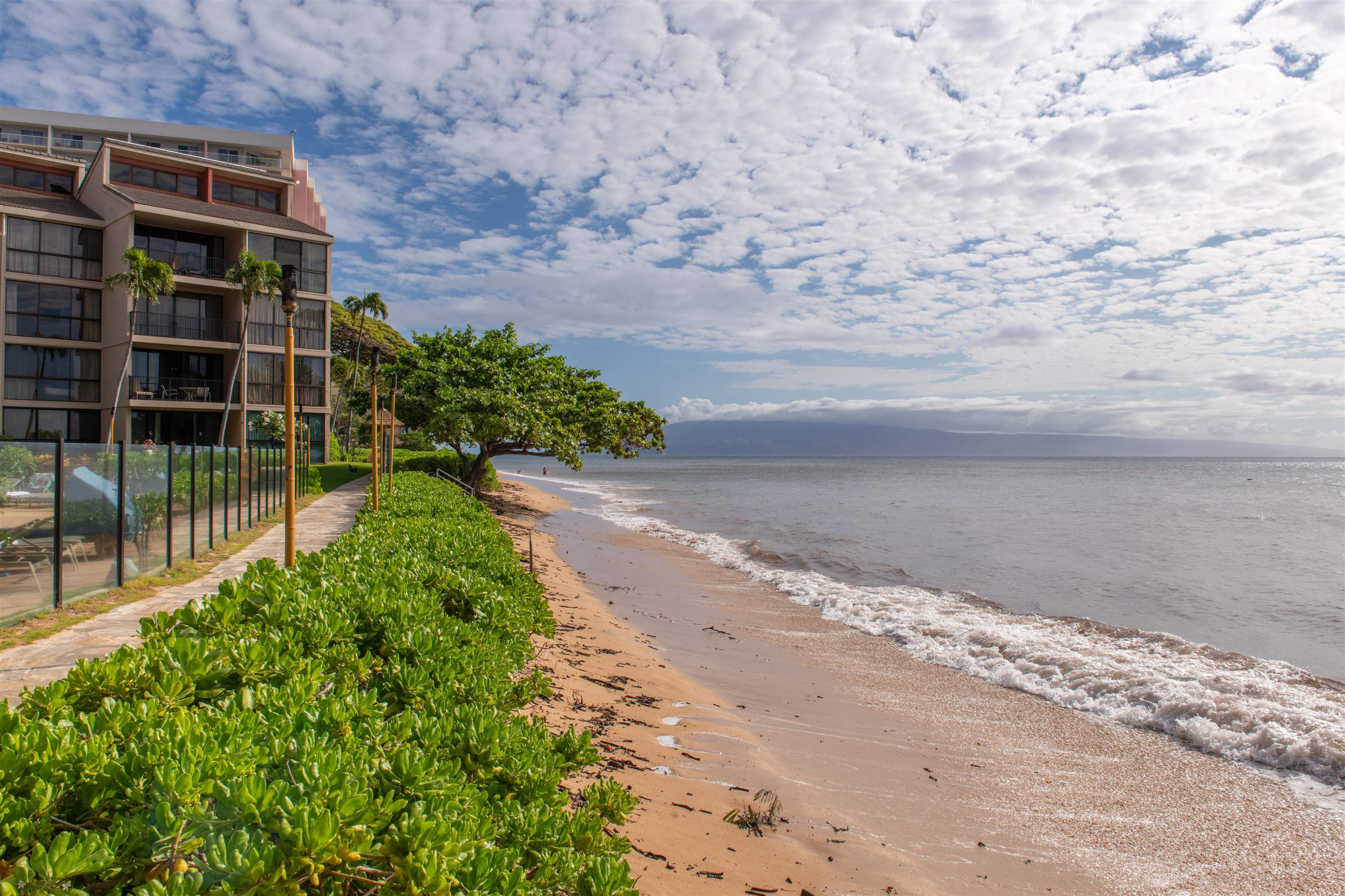 Kaanapali Shores condo # 825, Lahaina, Hawaii - photo 35 of 36