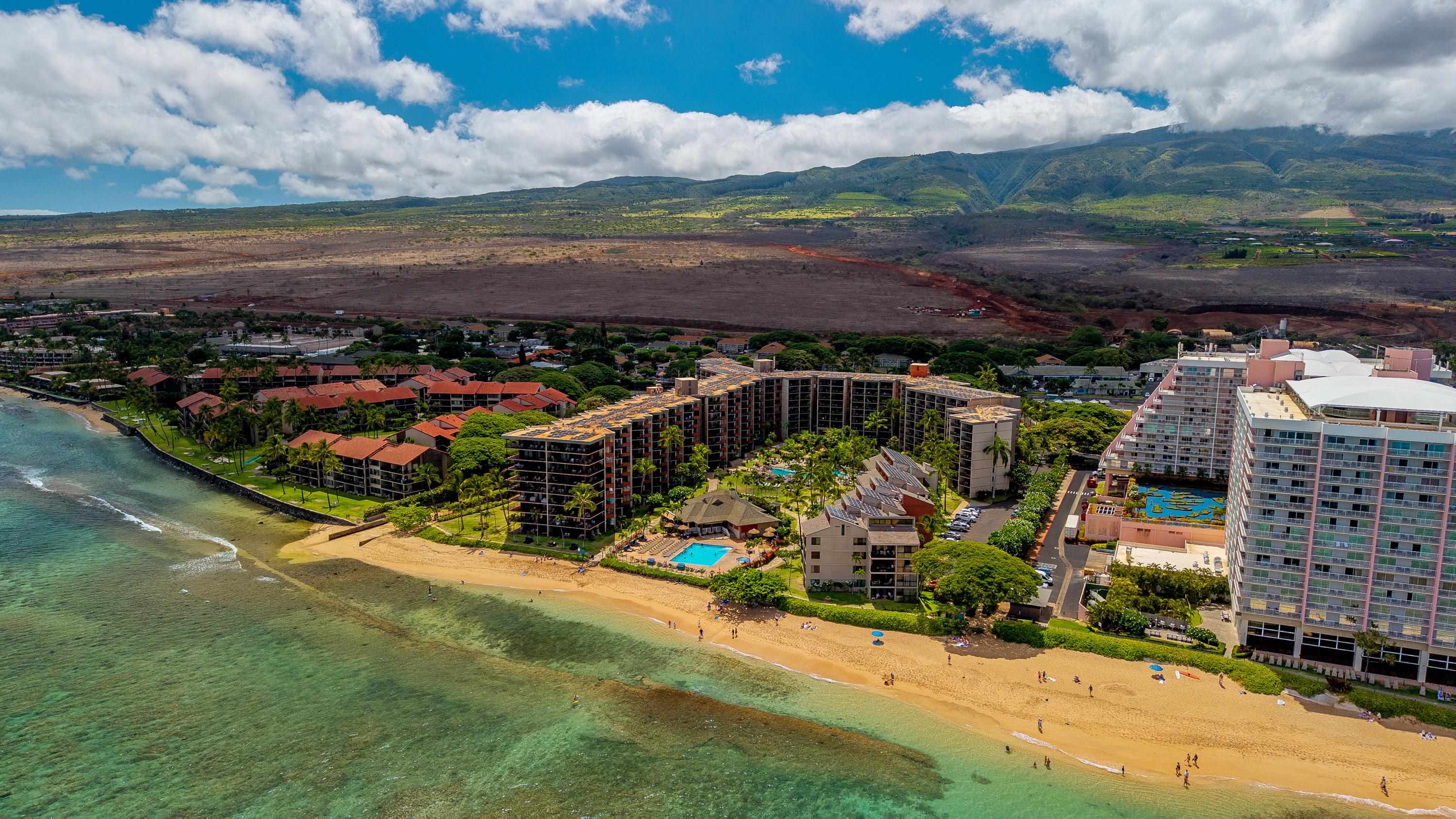 Kaanapali Shores condo # 834, Lahaina, Hawaii - photo 8 of 41