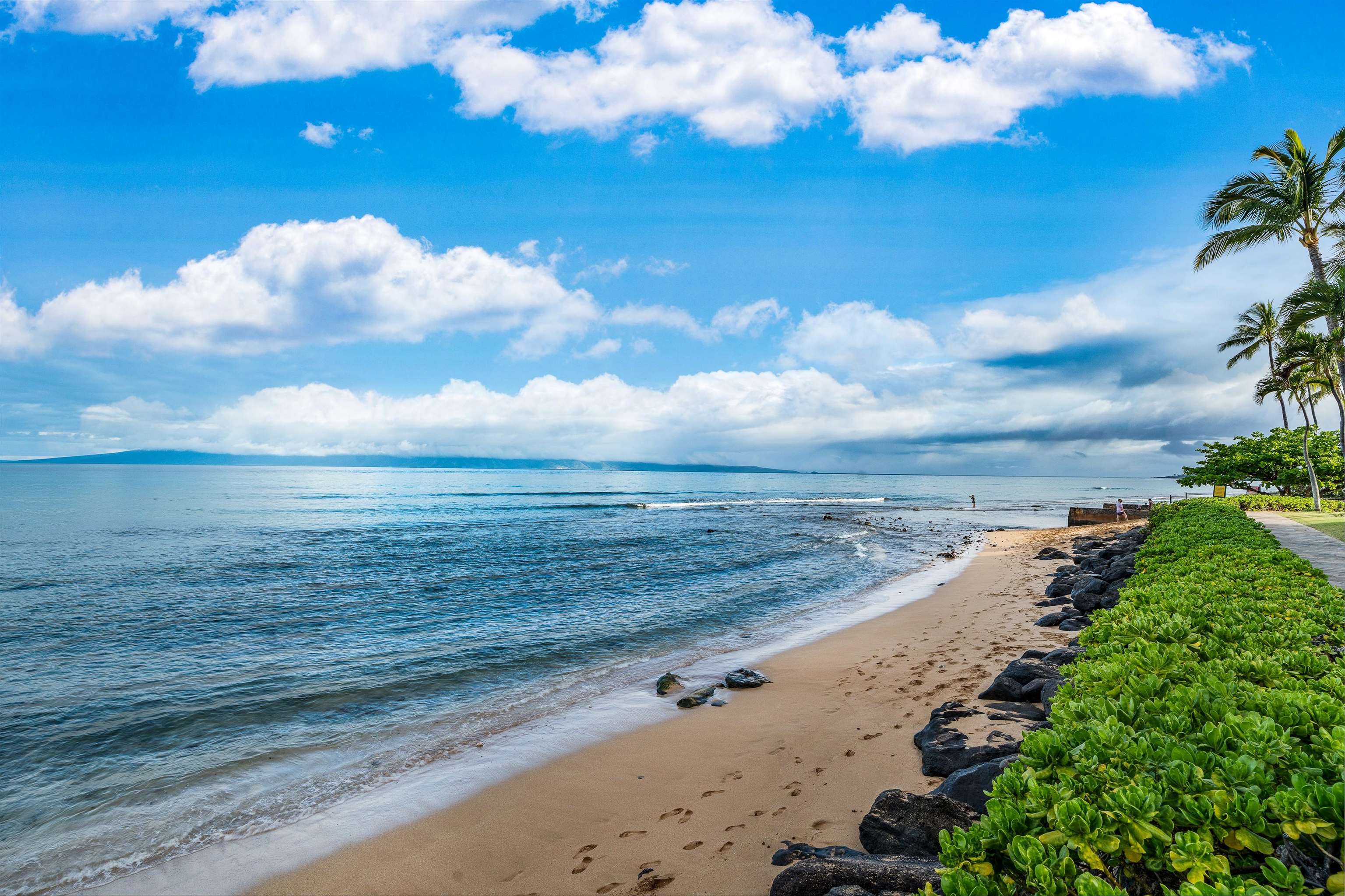 Kaanapali Shores condo # 905, Lahaina, Hawaii - photo 39 of 47