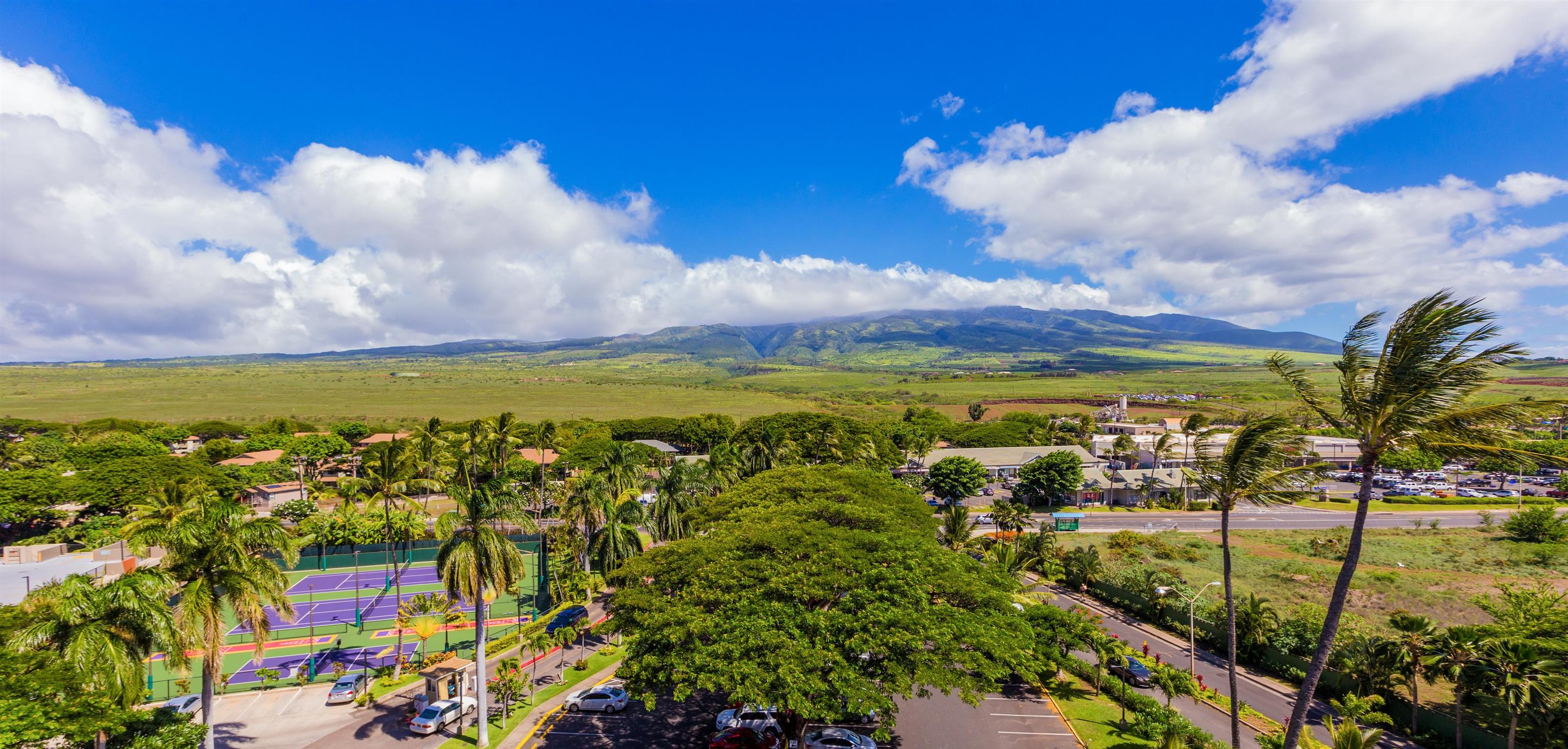 Kaanapali Shores condo # 934, Lahaina, Hawaii - photo 36 of 38