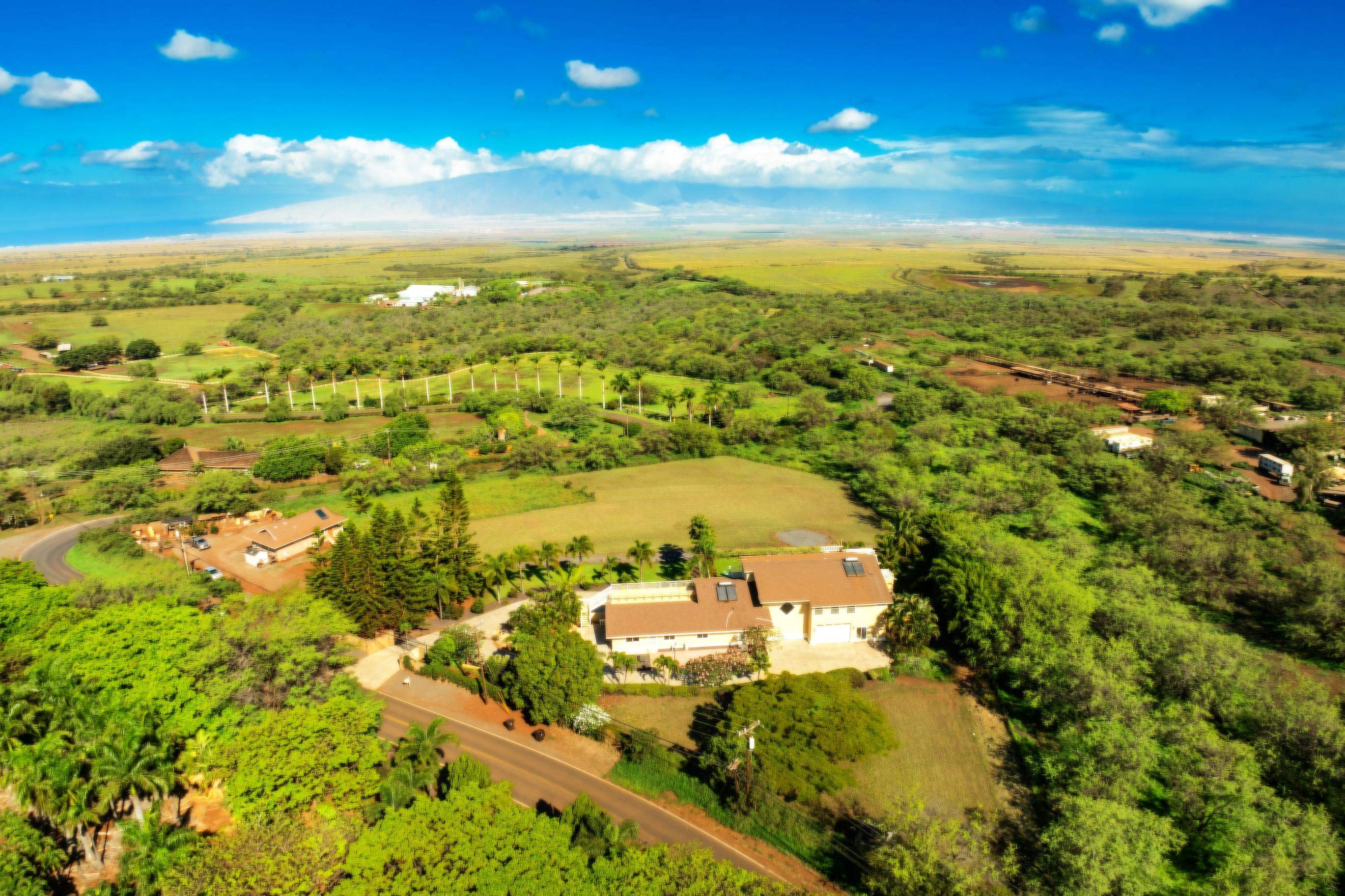 3446  Omaopio Rd Lower Kula, Kula/Ulupalakua/Kanaio home - photo 3 of 48