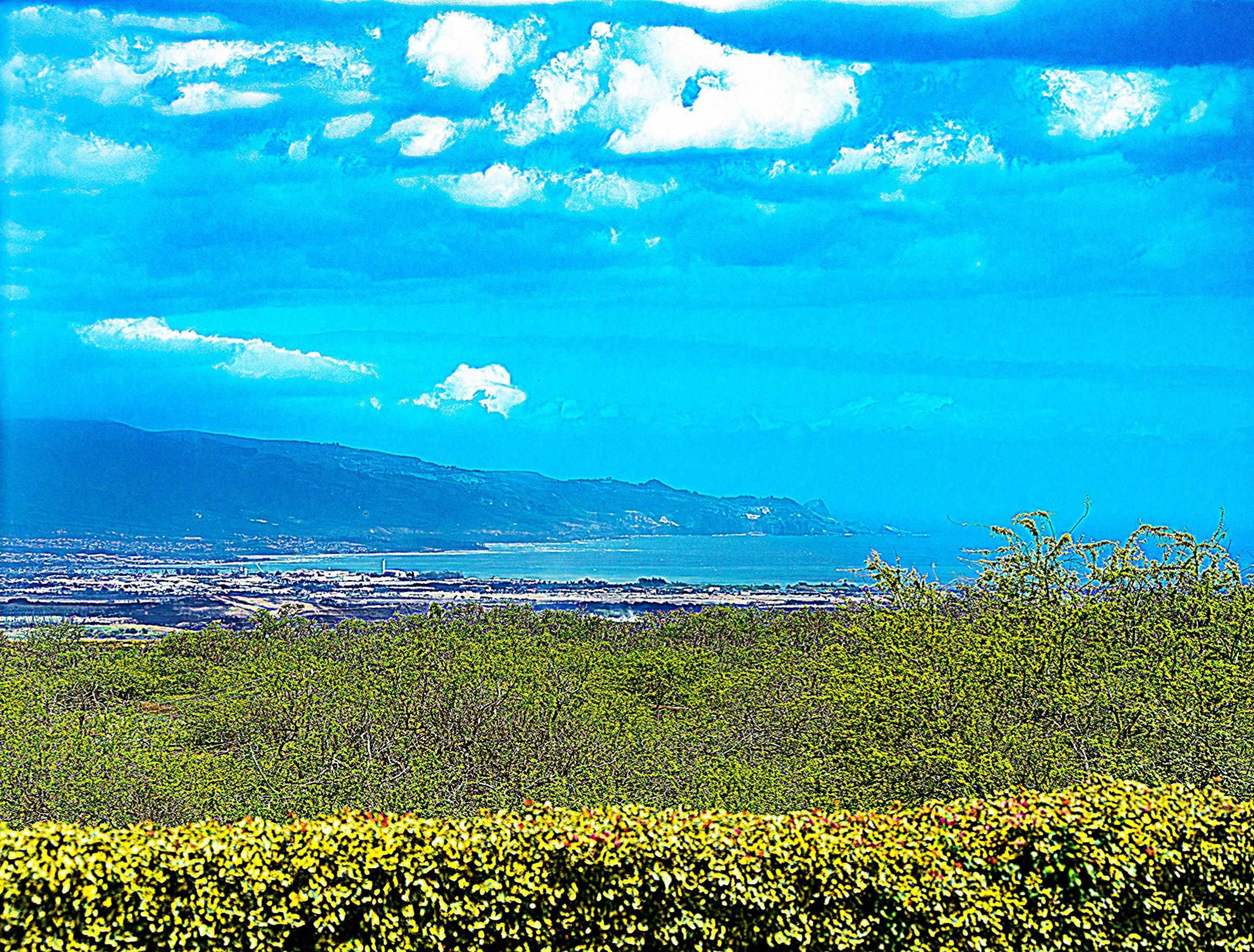 3446  Omaopio Rd Lower Kula, Kula/Ulupalakua/Kanaio home - photo 5 of 48