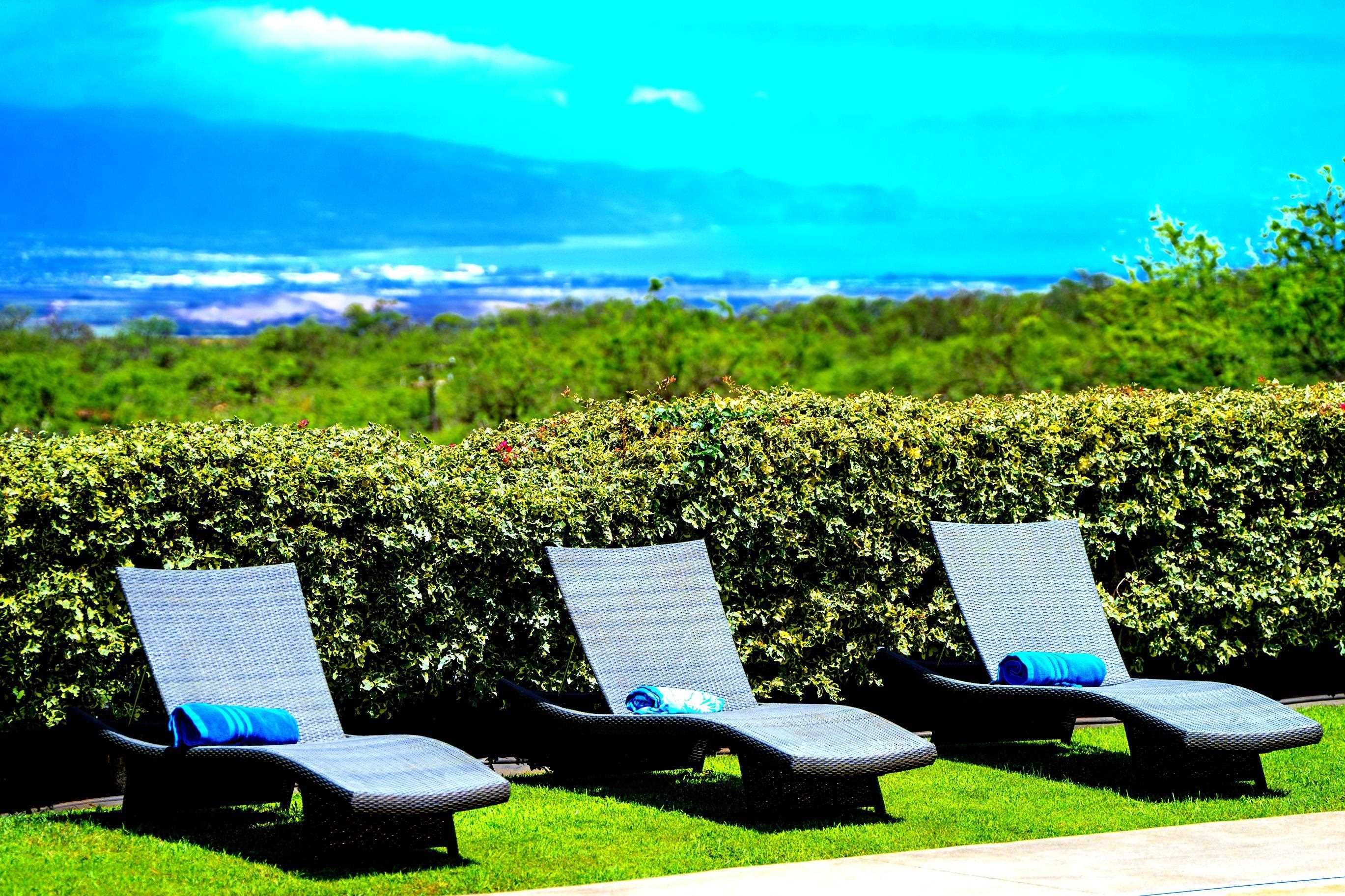 3446  Omaopio Rd Lower Kula, Kula/Ulupalakua/Kanaio home - photo 2 of 50