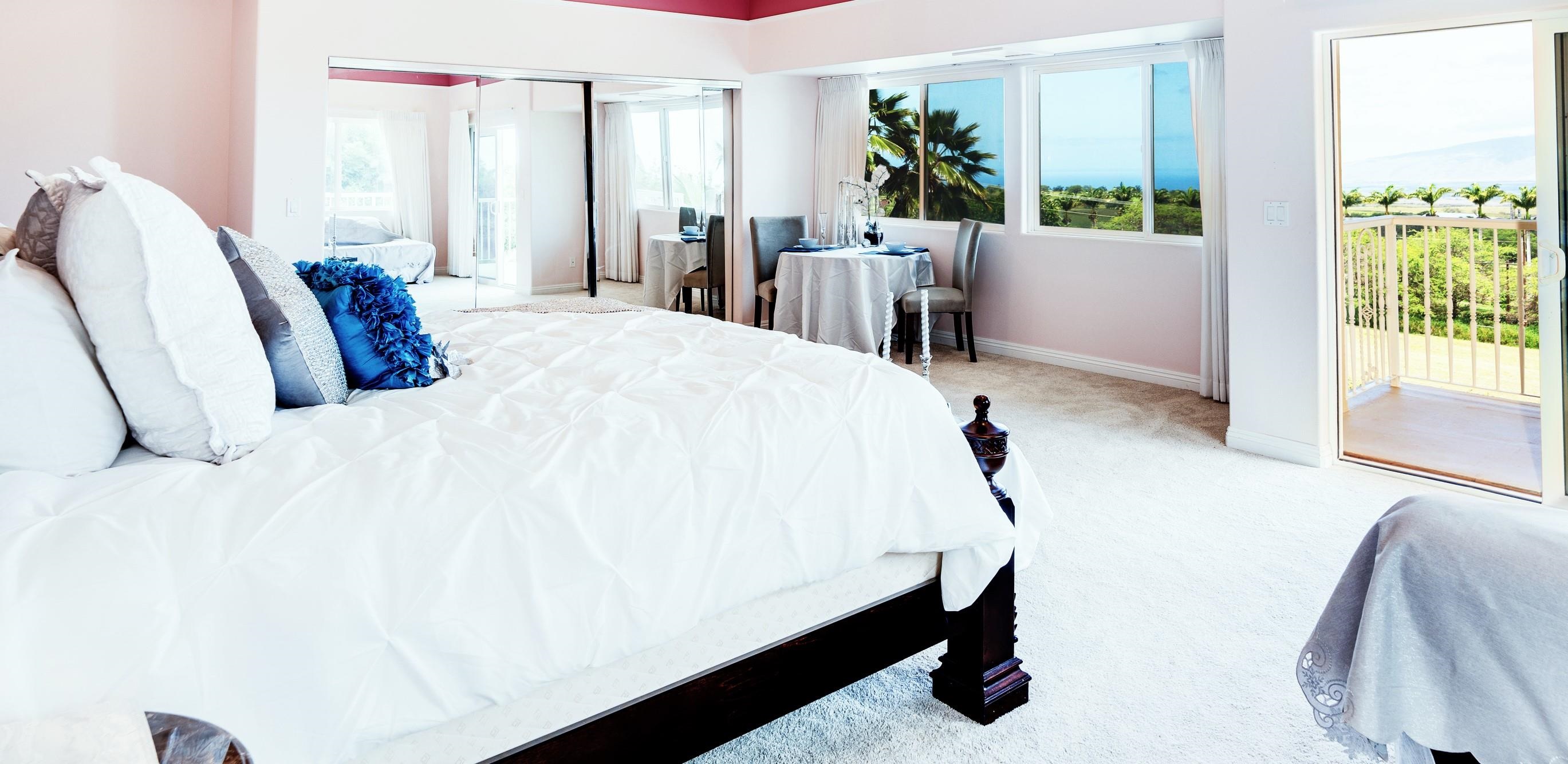 3446  Omaopio Rd Lower Kula, Kula/Ulupalakua/Kanaio home - photo 17 of 50