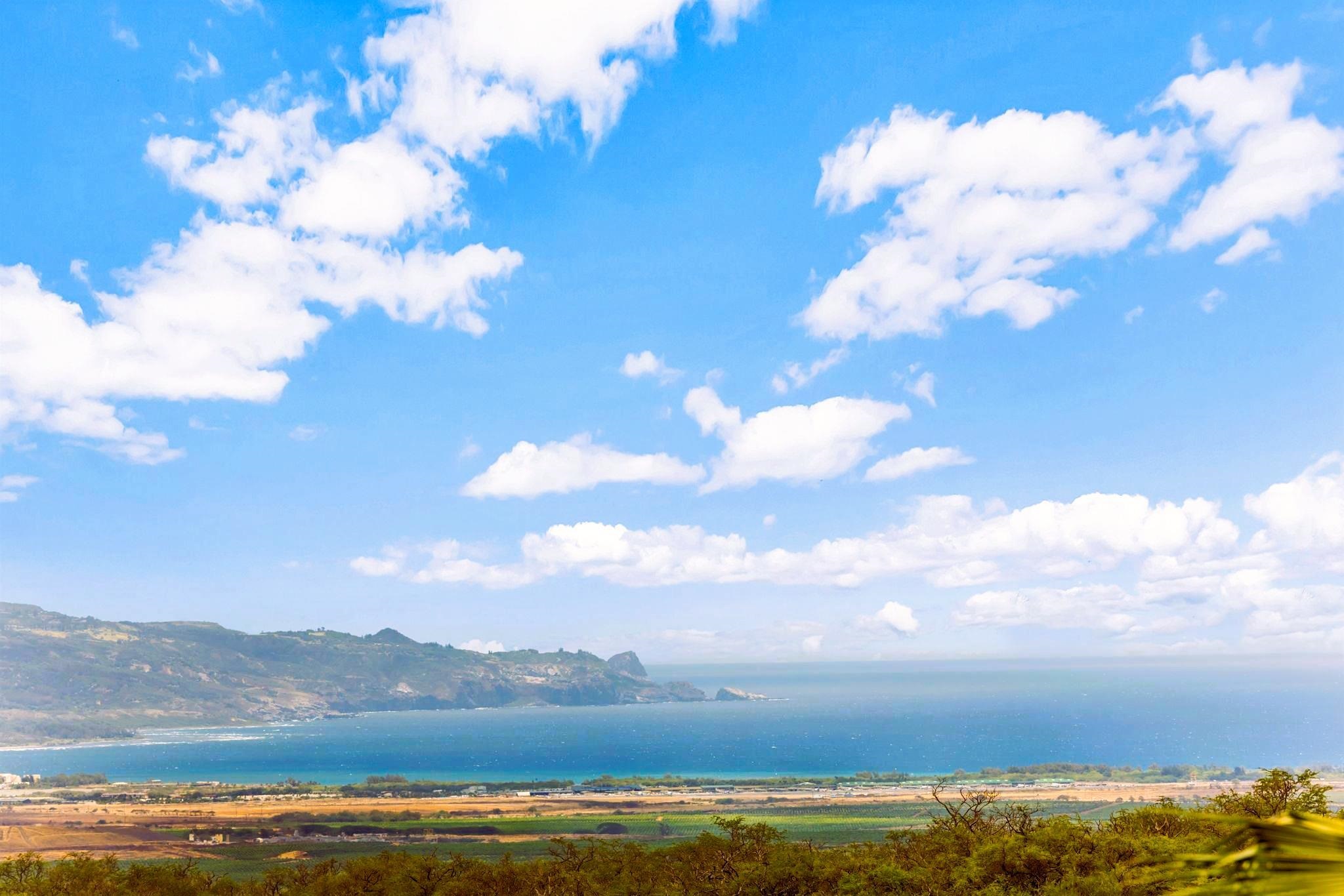 3446  Omaopio Rd Lower Kula, Kula/Ulupalakua/Kanaio home - photo 21 of 50