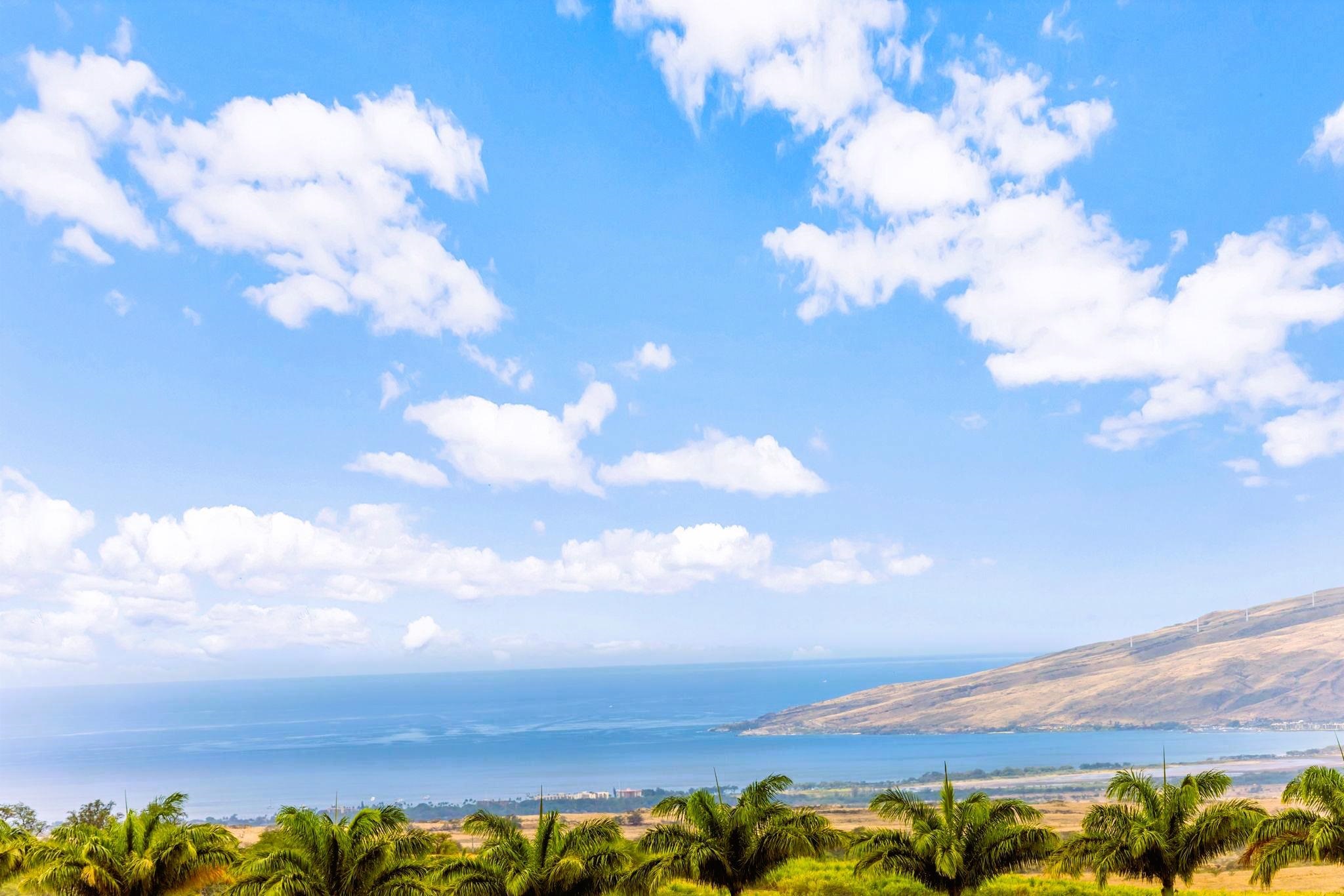 3446  Omaopio Rd Lower Kula, Kula/Ulupalakua/Kanaio home - photo 25 of 50