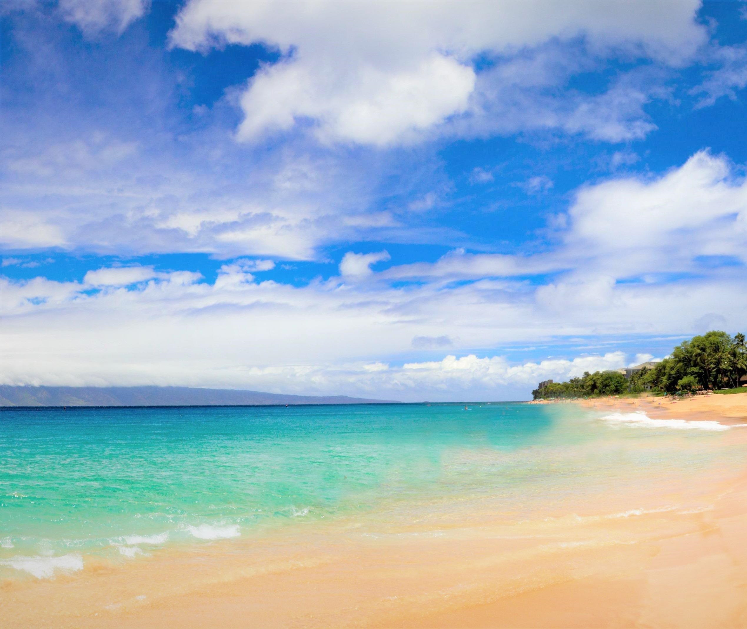 3446  Omaopio Rd Lower Kula, Kula/Ulupalakua/Kanaio home - photo 29 of 50