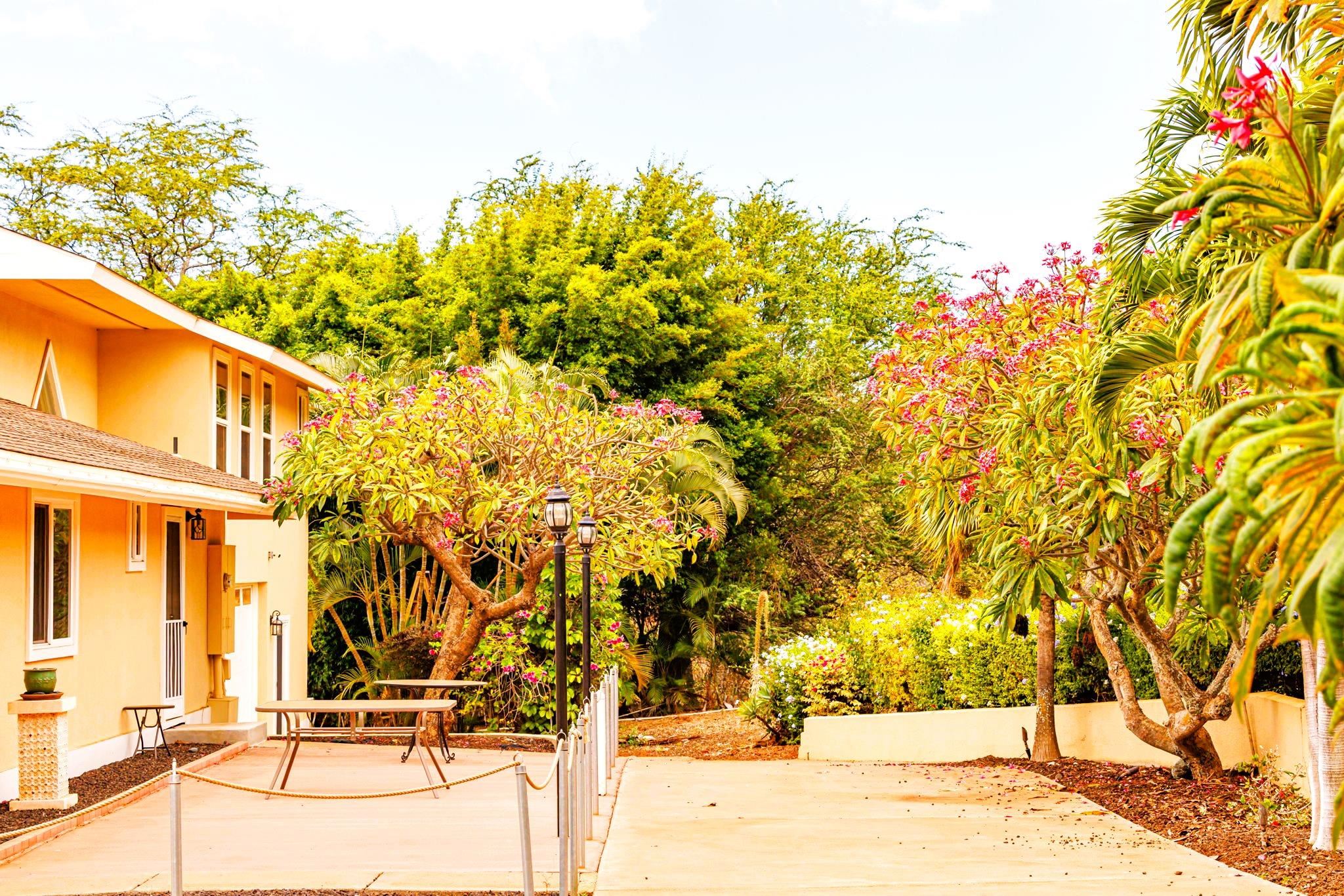 3446  Omaopio Rd Lower Kula, Kula/Ulupalakua/Kanaio home - photo 40 of 50