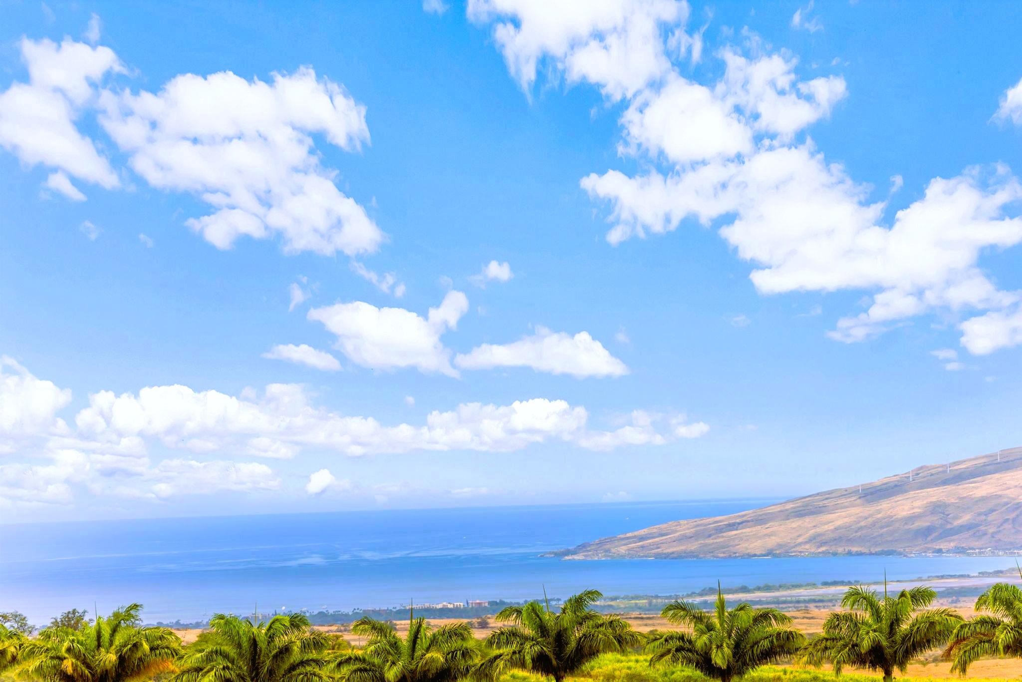 3446  Omaopio Rd Lower Kula, Kula/Ulupalakua/Kanaio home - photo 5 of 50