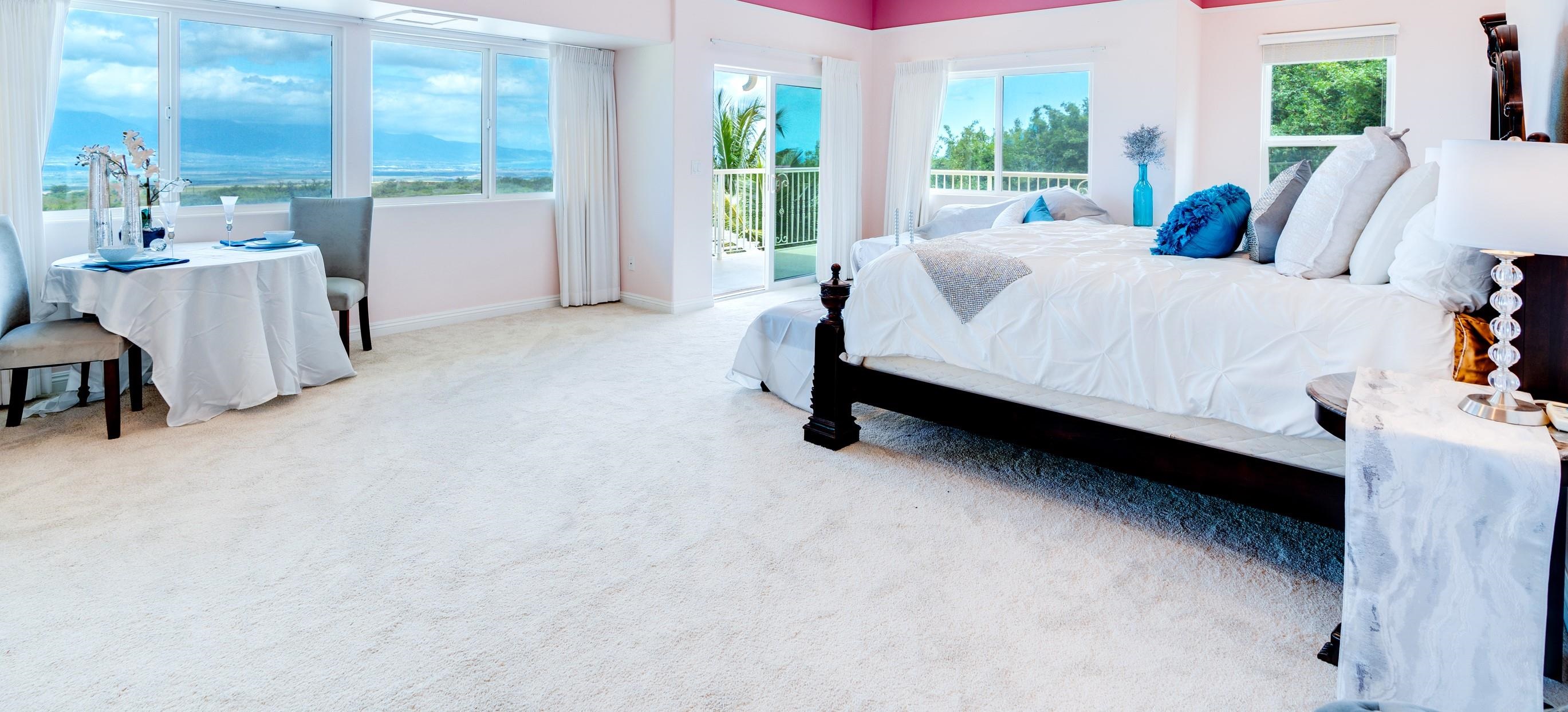 3446  Omaopio Rd Lower Kula, Kula/Ulupalakua/Kanaio home - photo 7 of 50