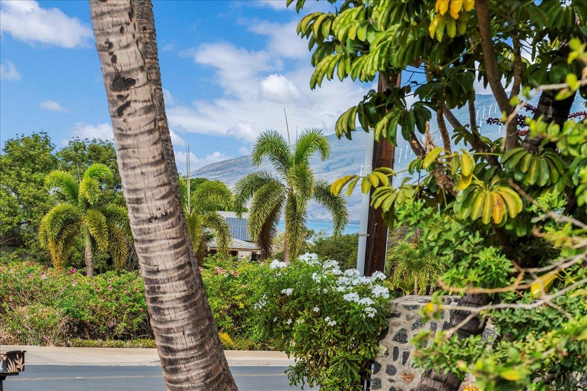 345  Auhana Rd Kihei, Kihei home - photo 29 of 50