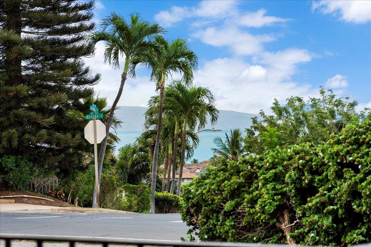 345  Auhana Rd Kihei, Kihei home - photo 8 of 50