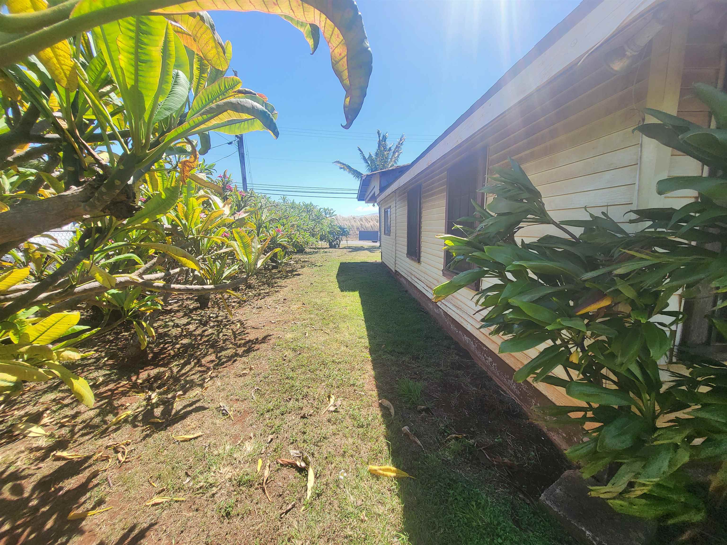 345  Baldwin Ave , Spreckelsville/Paia/Kuau home - photo 4 of 13