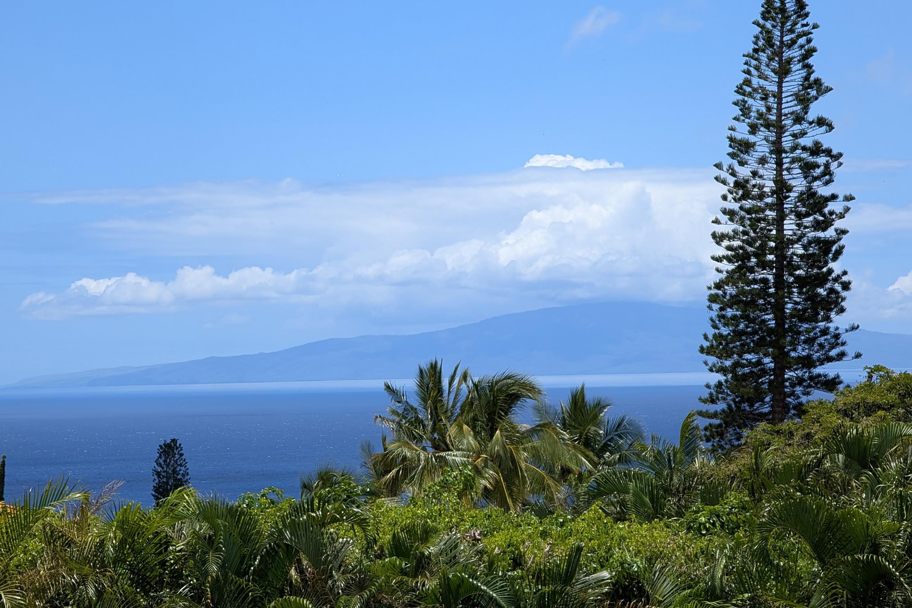 3450  Malina Pl Maui Meadows, Maui Meadows home - photo 4 of 48