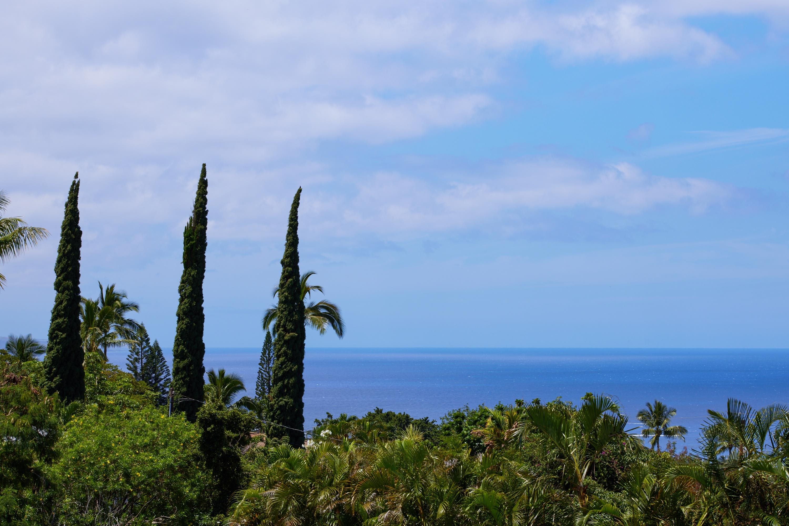 3450  Malina Pl Maui Meadows, Maui Meadows home - photo 5 of 48
