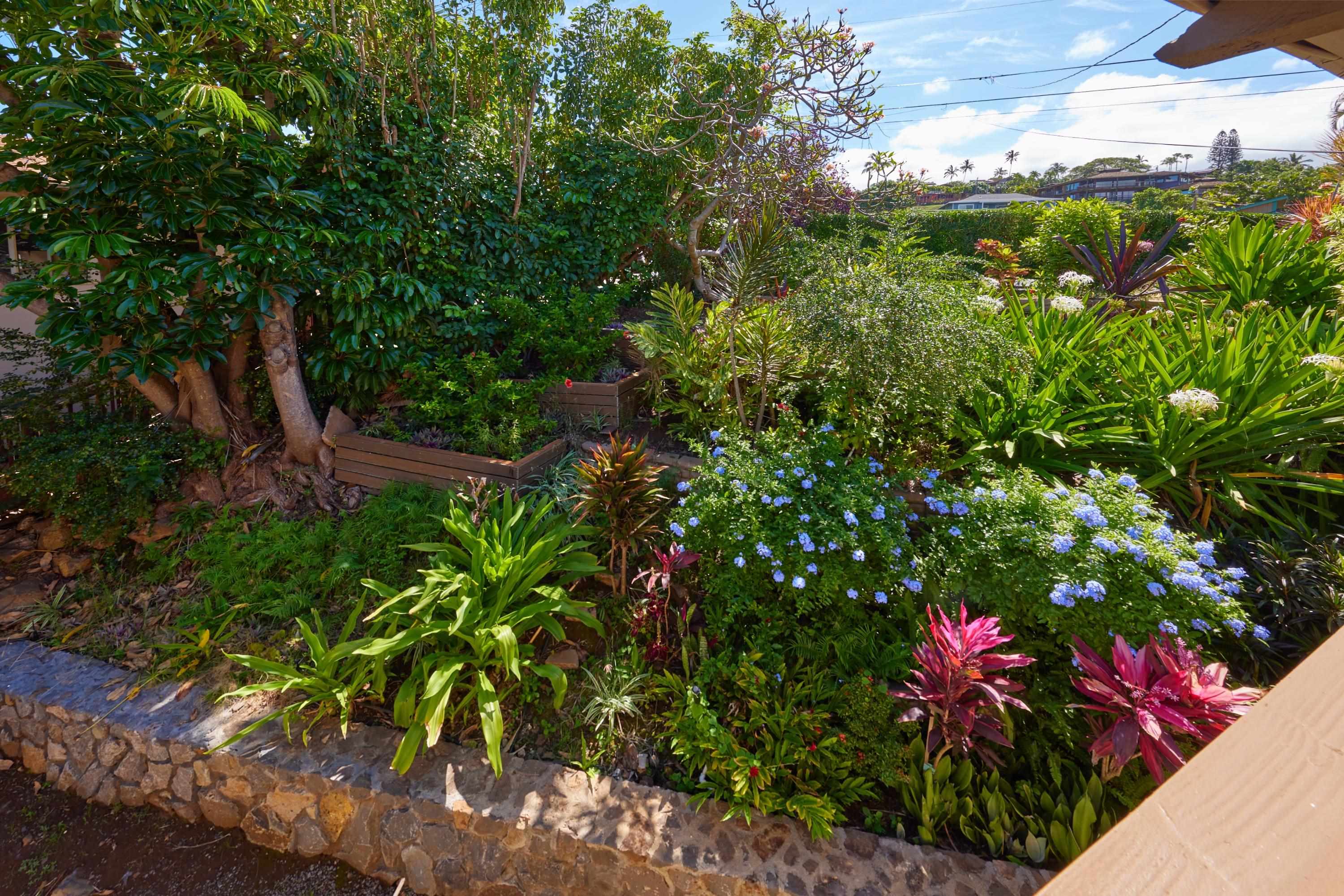 3450  Malina Pl Maui Meadows, Maui Meadows home - photo 44 of 48