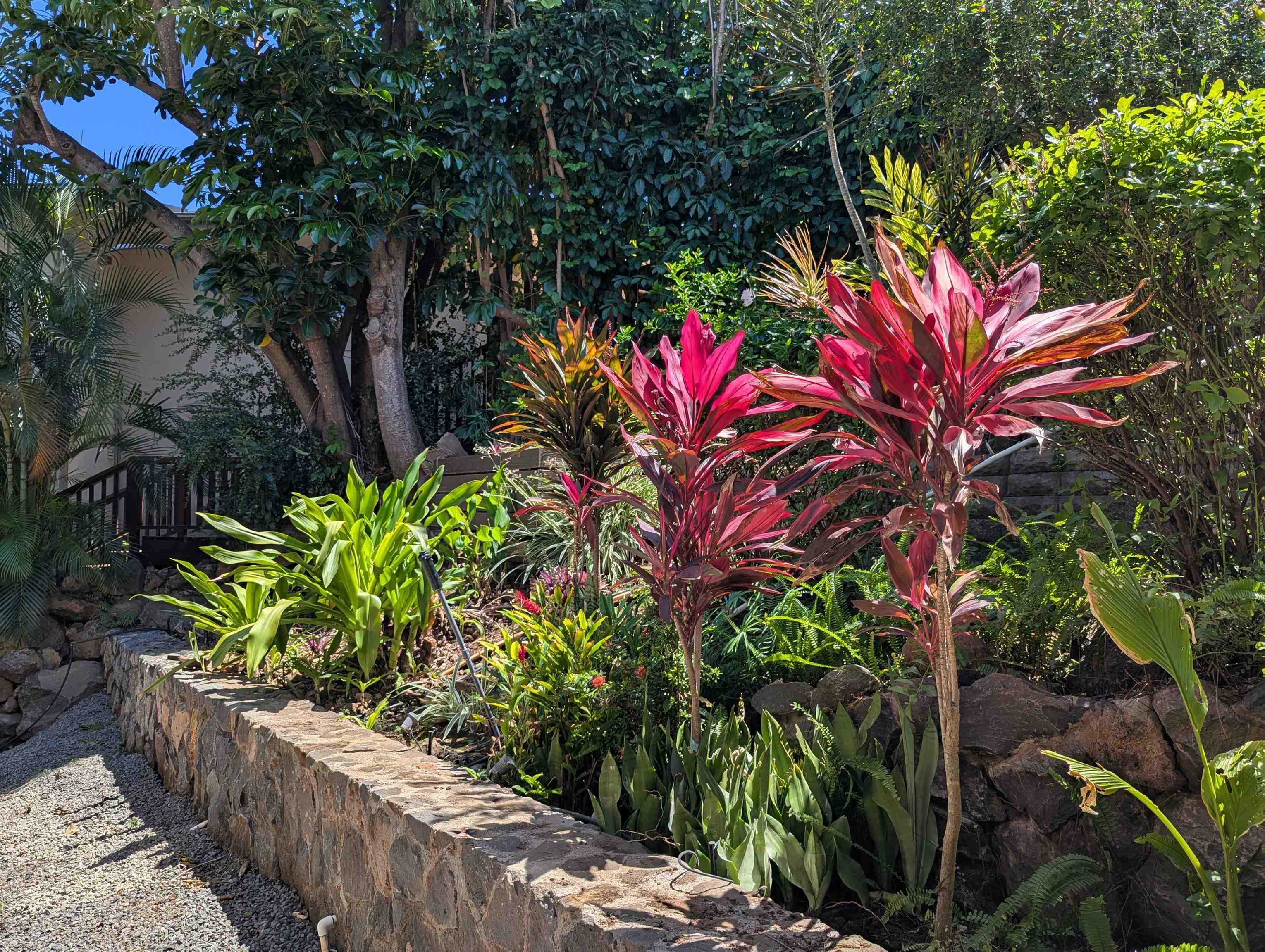 3450  Malina Pl Maui Meadows, Maui Meadows home - photo 47 of 48