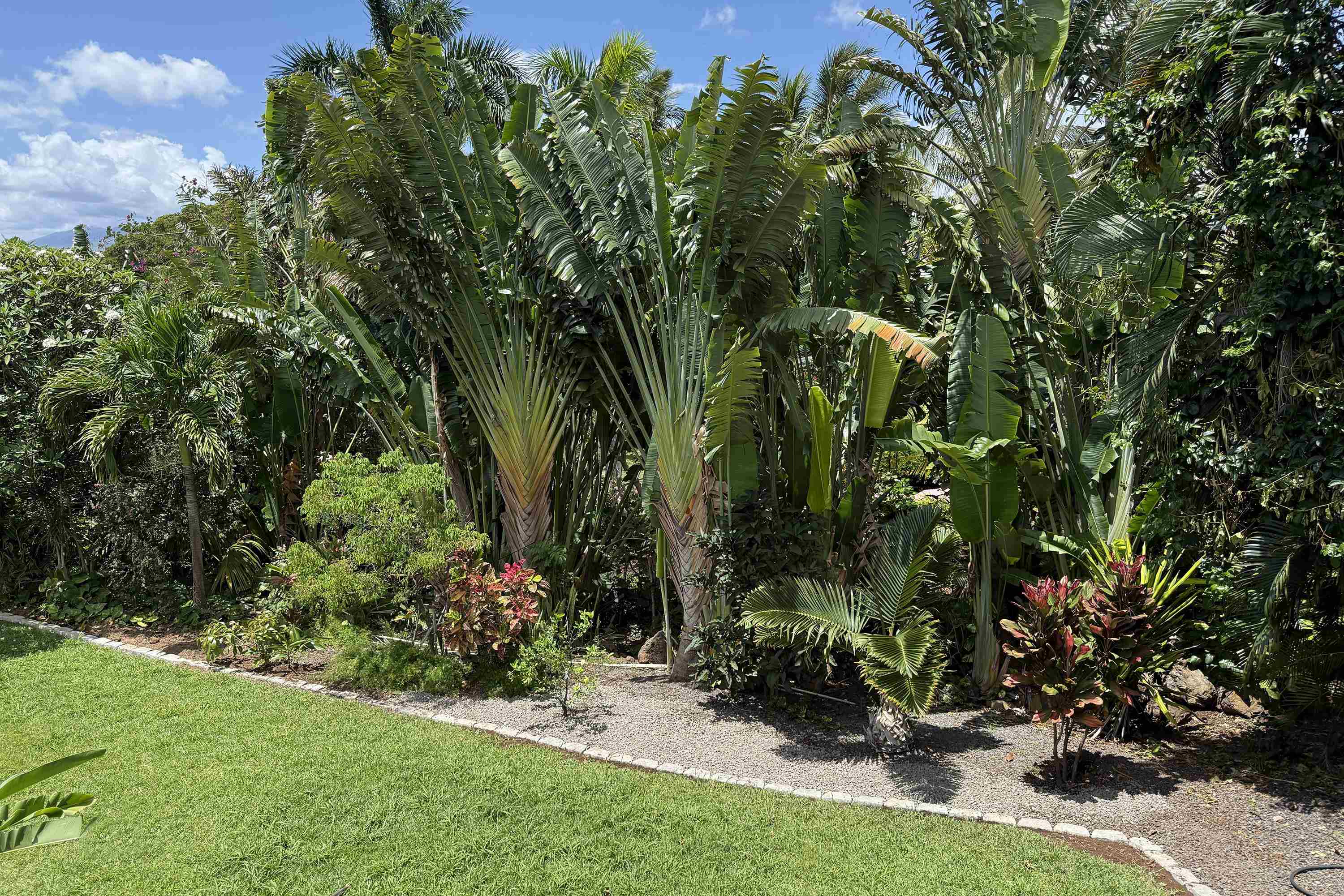 3450  Malina Pl Maui Meadows, Maui Meadows home - photo 48 of 48