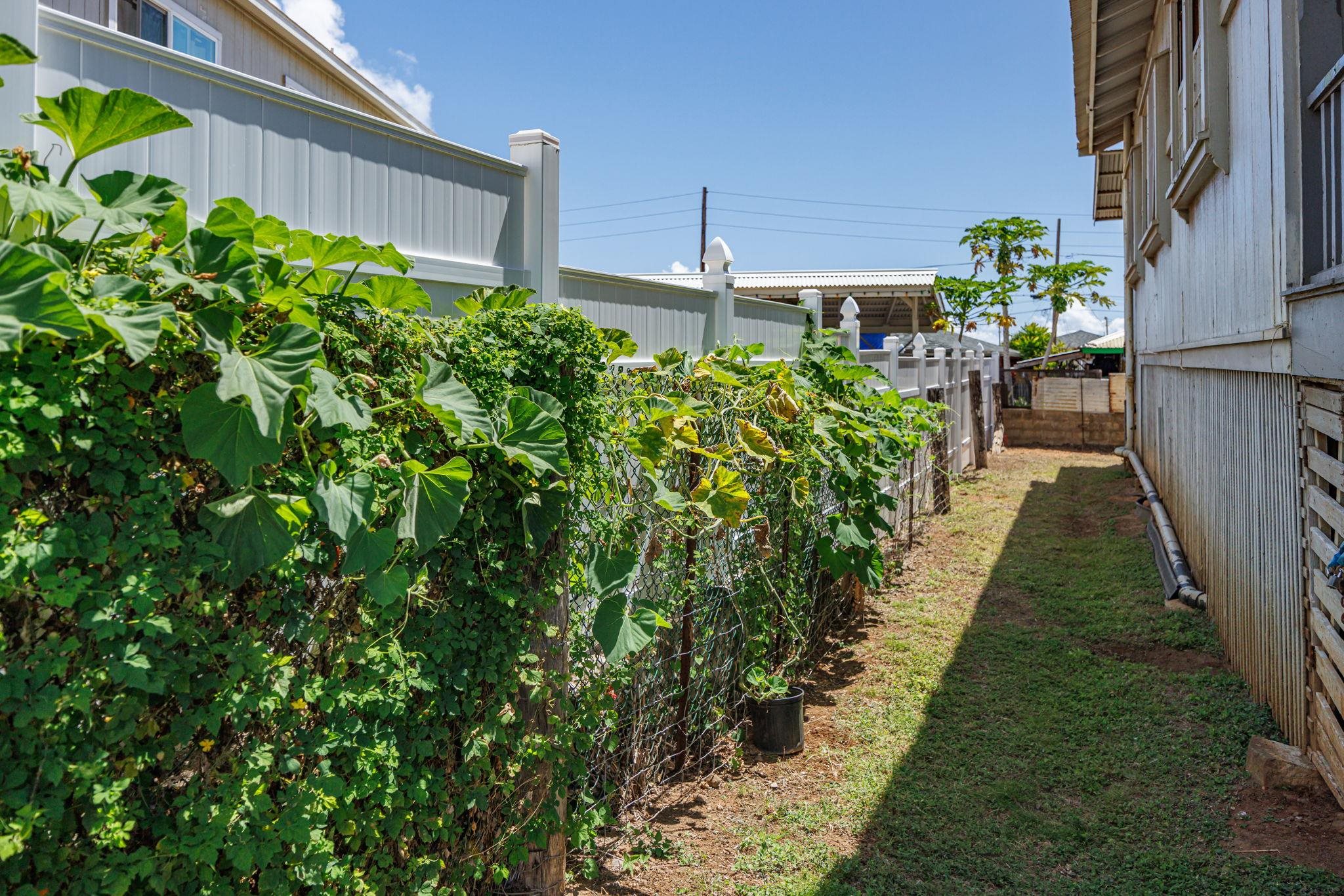 346  Alahee Dr , Wailuku home - photo 35 of 50