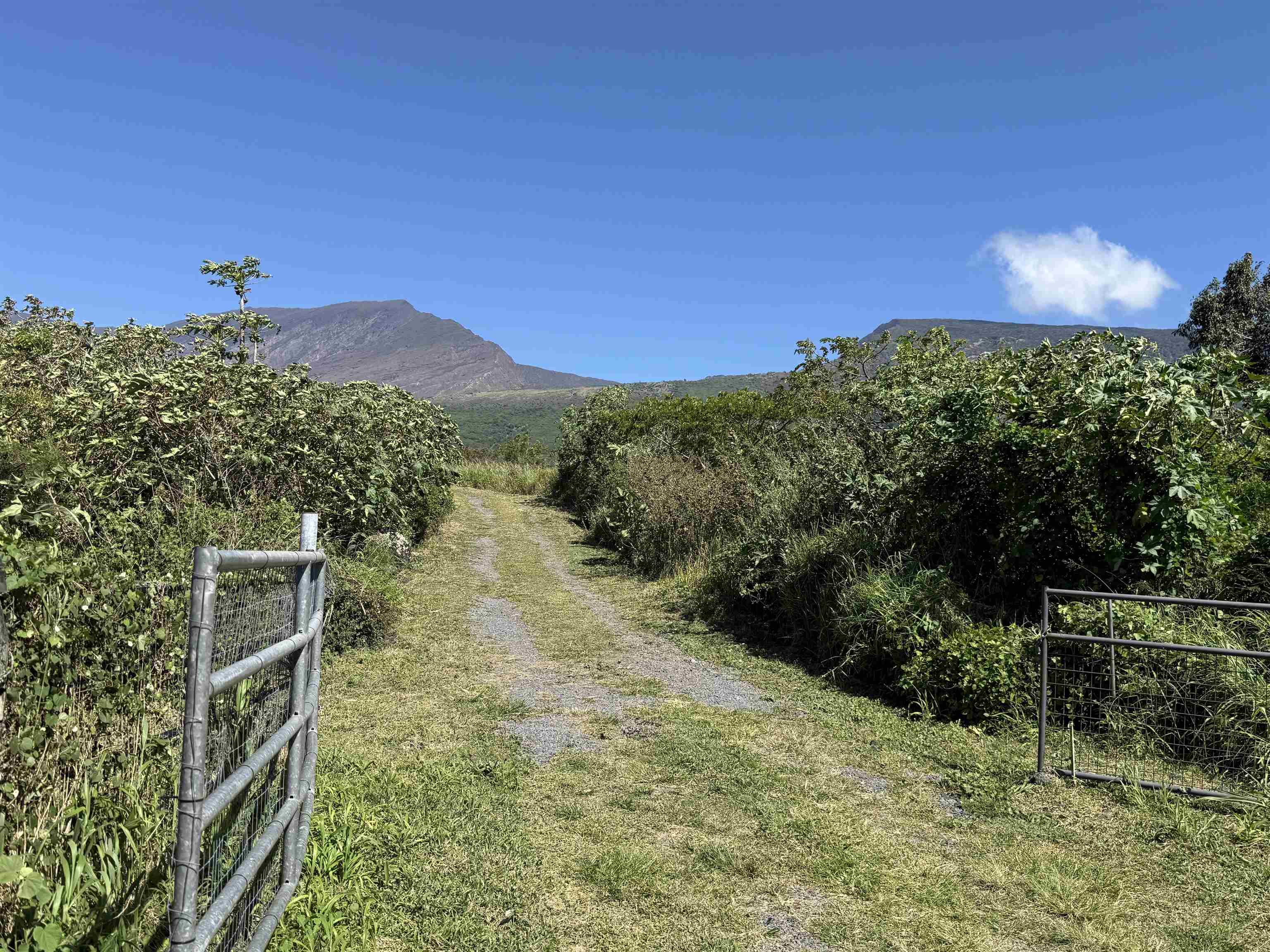 34701 Piilani Hwy  Hana, Hi vacant land for sale - photo 2 of 41