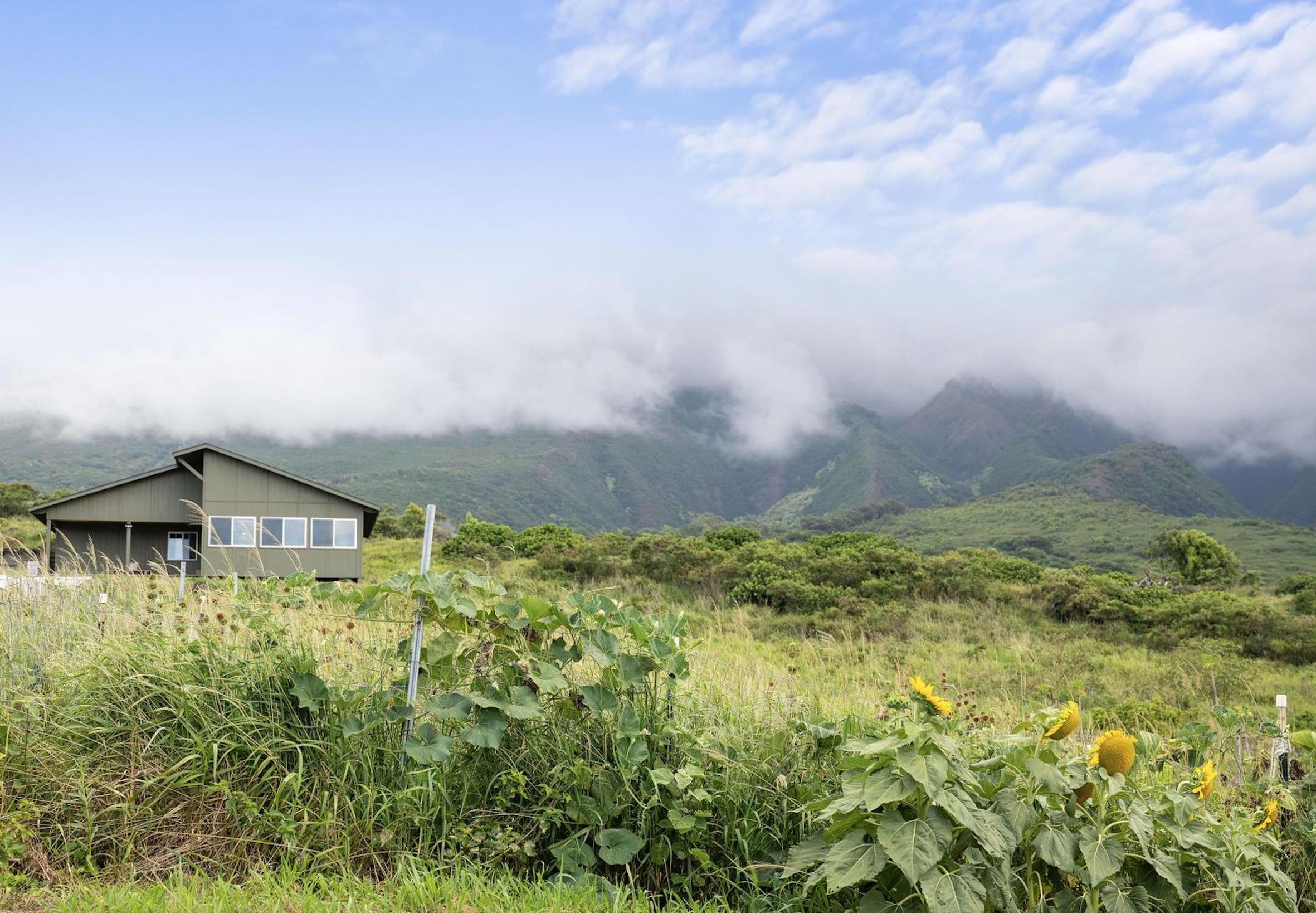 34701 Piilani Hwy  Hana, Hi vacant land for sale - photo 27 of 41