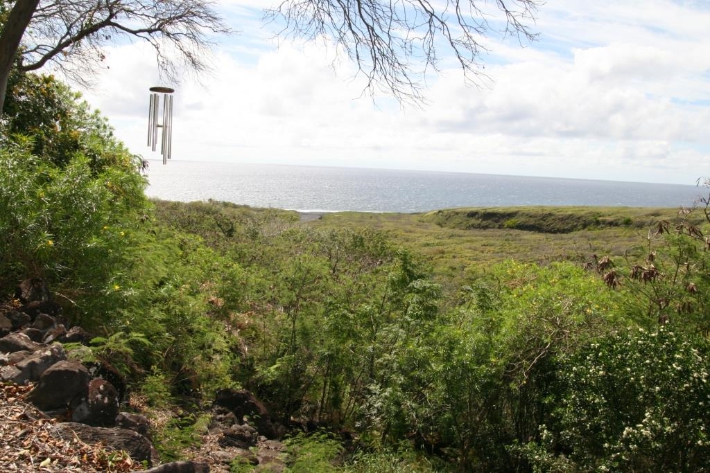 34992  Piilani Hwy , Kaupo home - photo 24 of 46