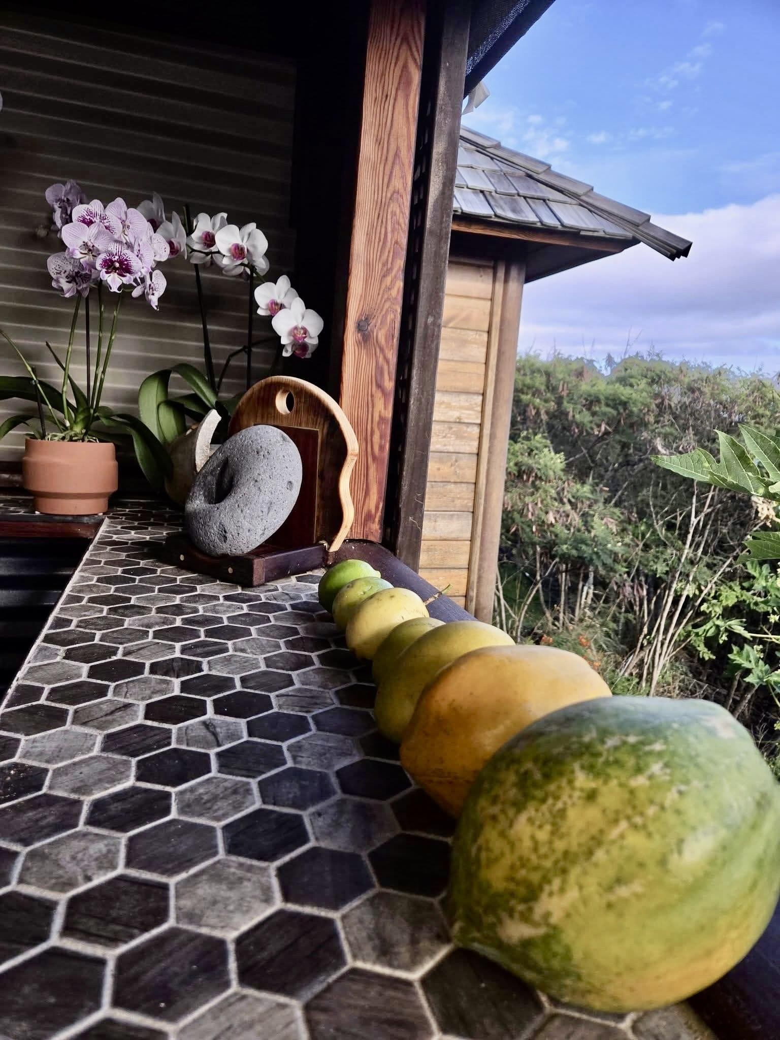 34992  Piilani Hwy , Kaupo home - photo 34 of 46