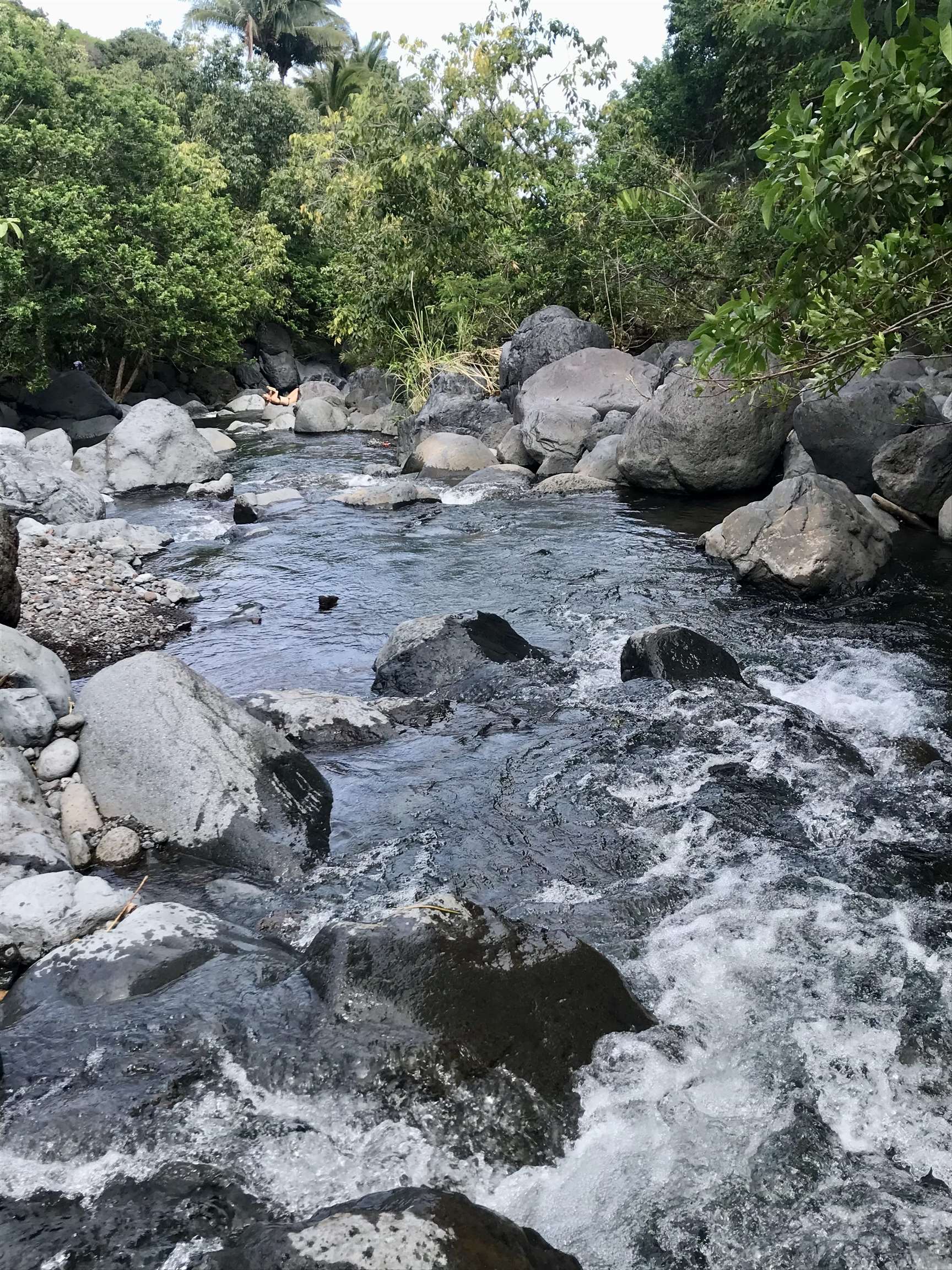 34992  Piilani Hwy , Kaupo home - photo 40 of 46