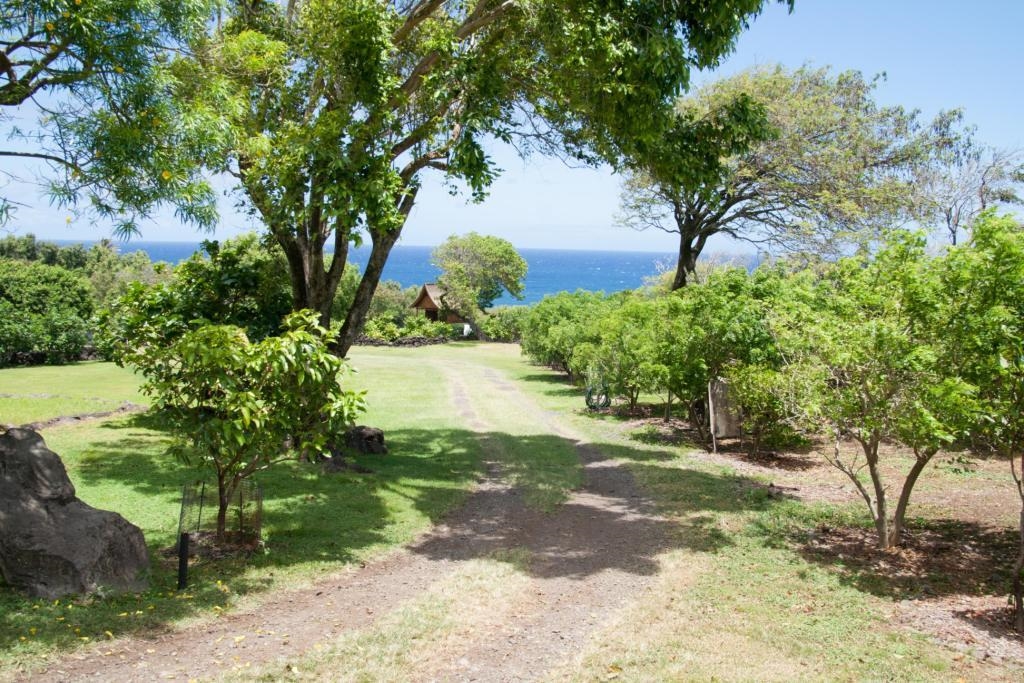 34992  Piilani Hwy , Kaupo home - photo 5 of 46
