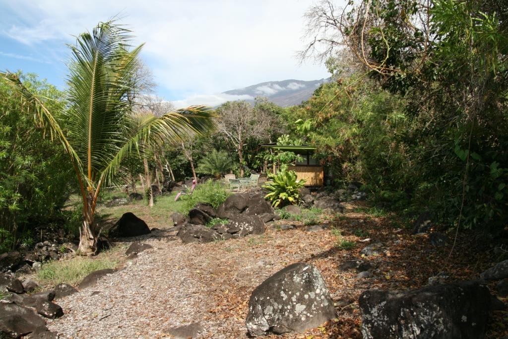 34992  Piilani Hwy , Kaupo home - photo 9 of 46