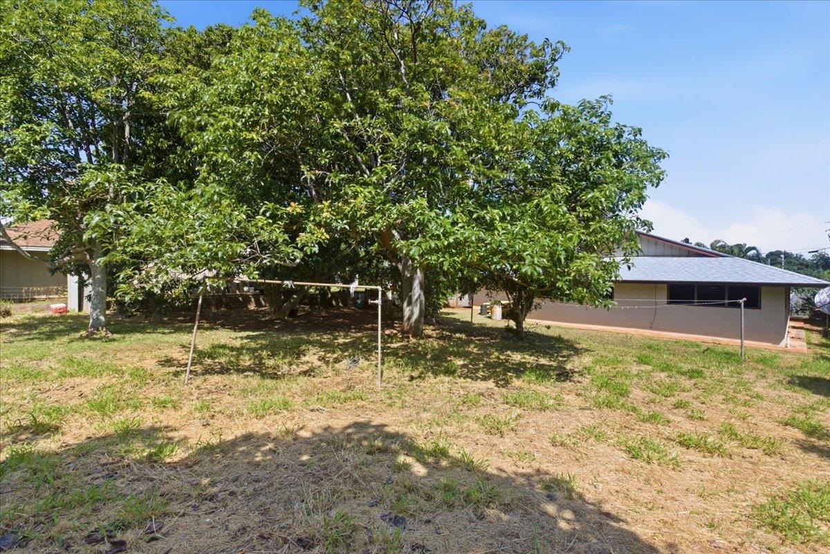 35  Hui F Rd , Napili/Kahana/Honokowai home - photo 25 of 38
