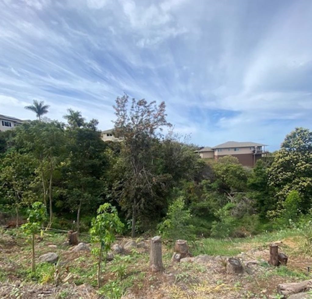 35 Kapalulu Pl 361 Kula, Hi vacant land for sale - photo 6 of 7