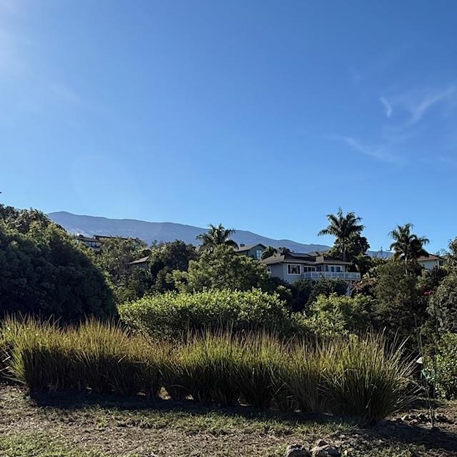 35  Kapalulu Pl Kulamanu, Kula/Ulupalakua/Kanaio home - photo 6 of 8