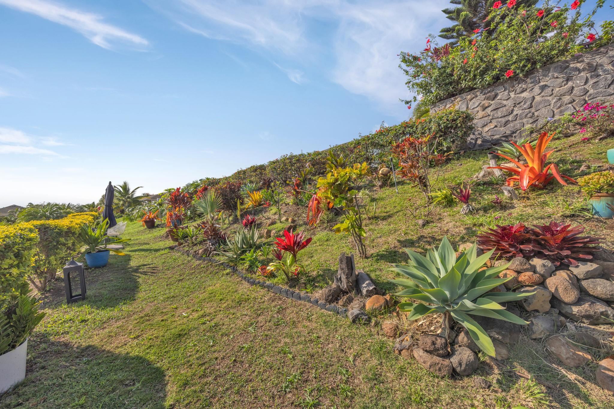 35  Maka Hou Loop Cottages At Kehalani, Wailuku home - photo 30 of 50